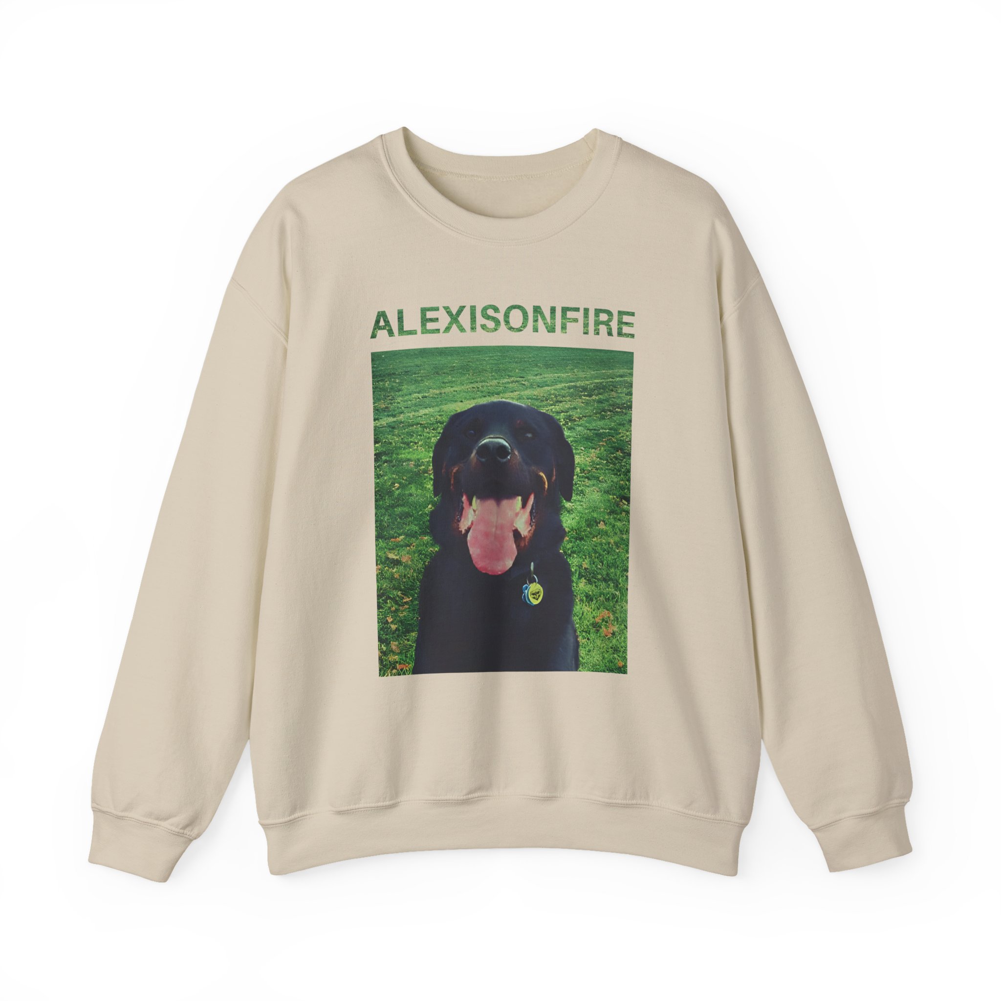 Alexisonfire Brixton Unisex Heavy Blendâ„¢ Crewneck Sweatshirt