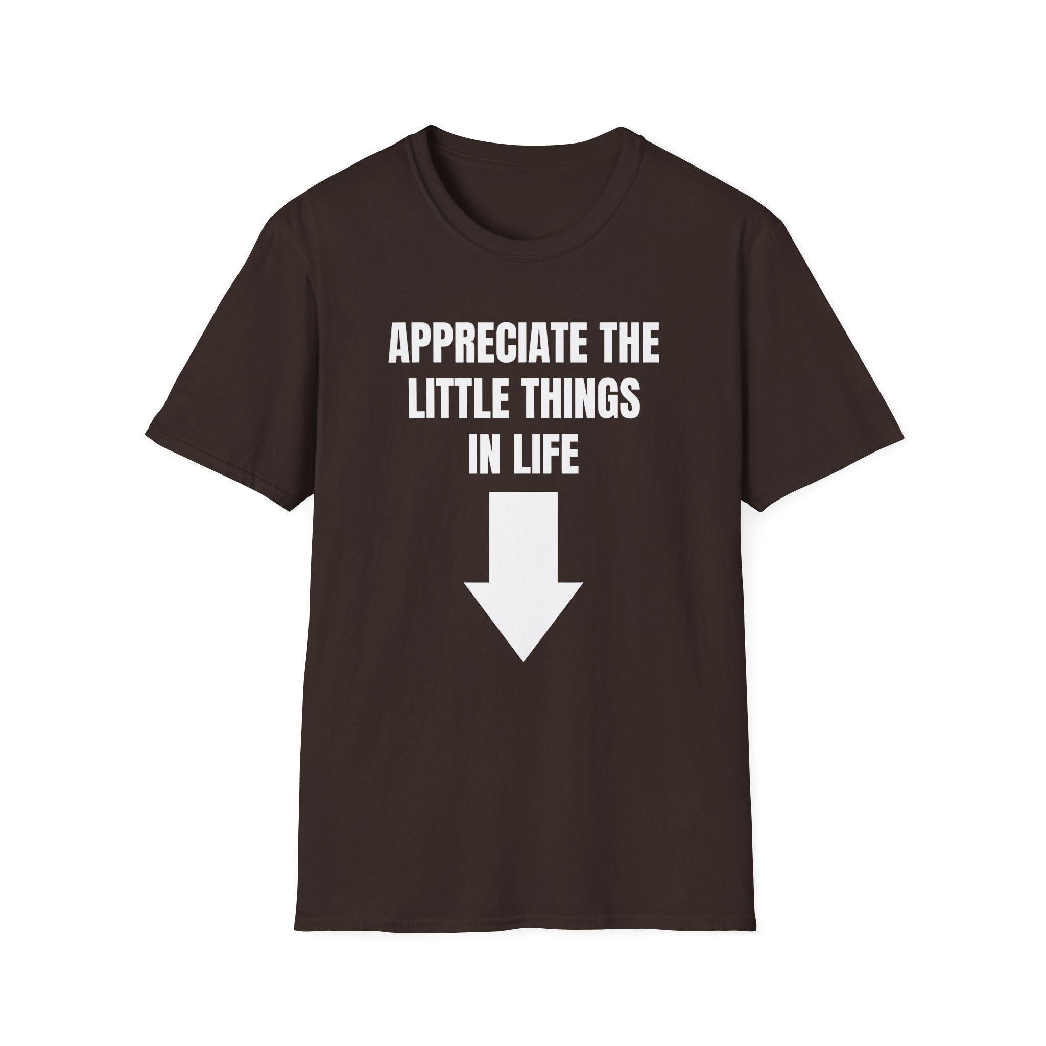 Jynxzi Appreciate the Little Things in Life Unisex Softstyle T-Shirt