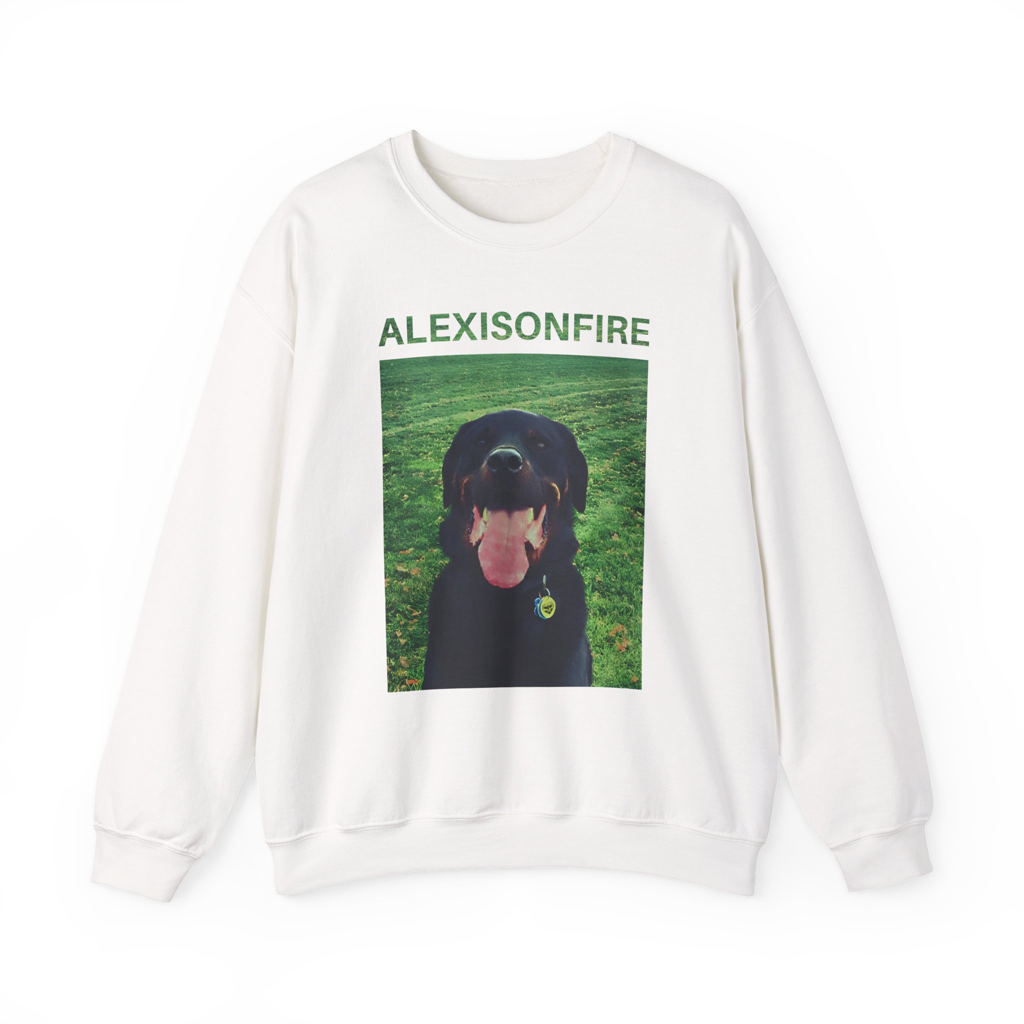 Alexisonfire Brixton Unisex Heavy Blendâ„¢ Crewneck Sweatshirt