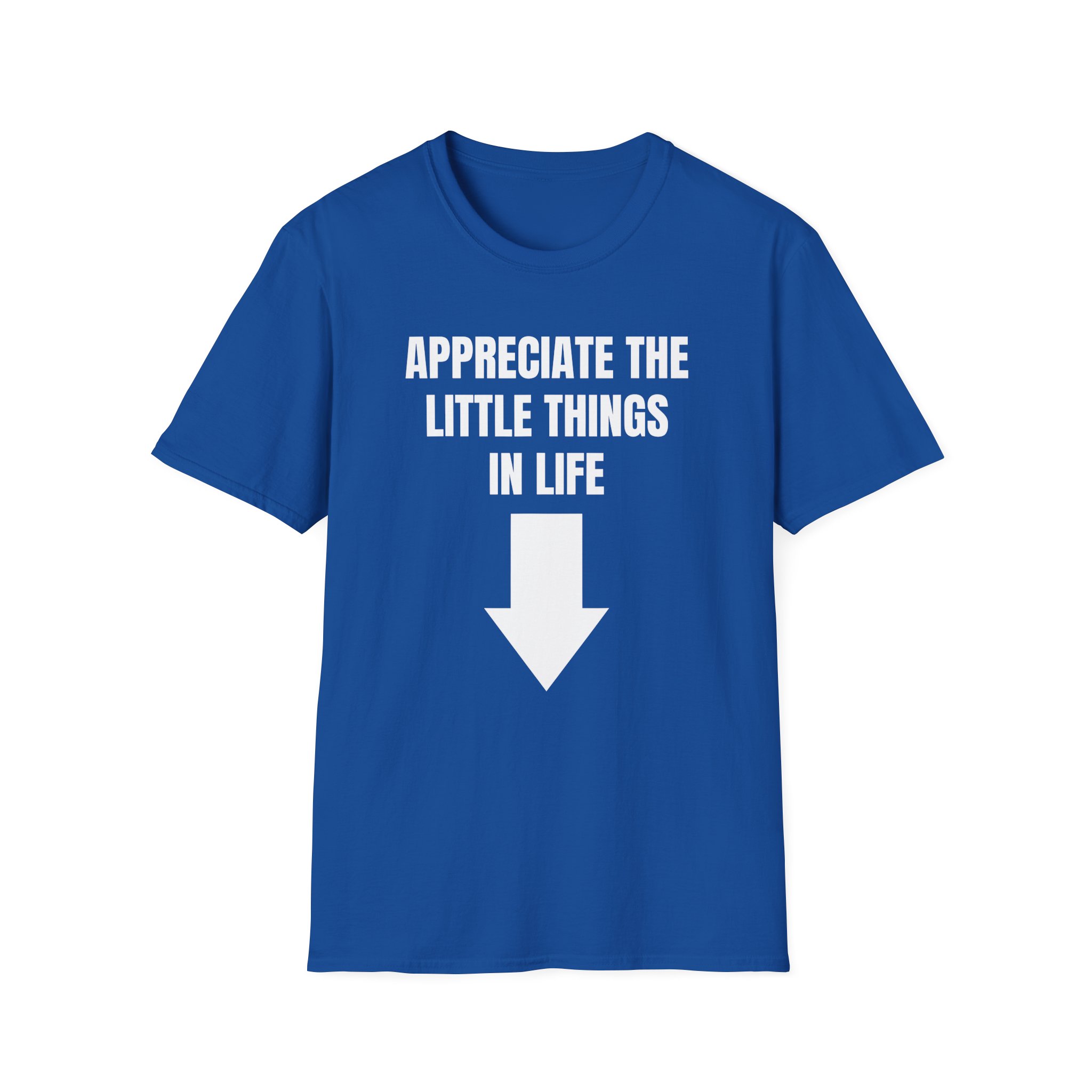 Jynxzi Appreciate the Little Things in Life Unisex Softstyle T-Shirt