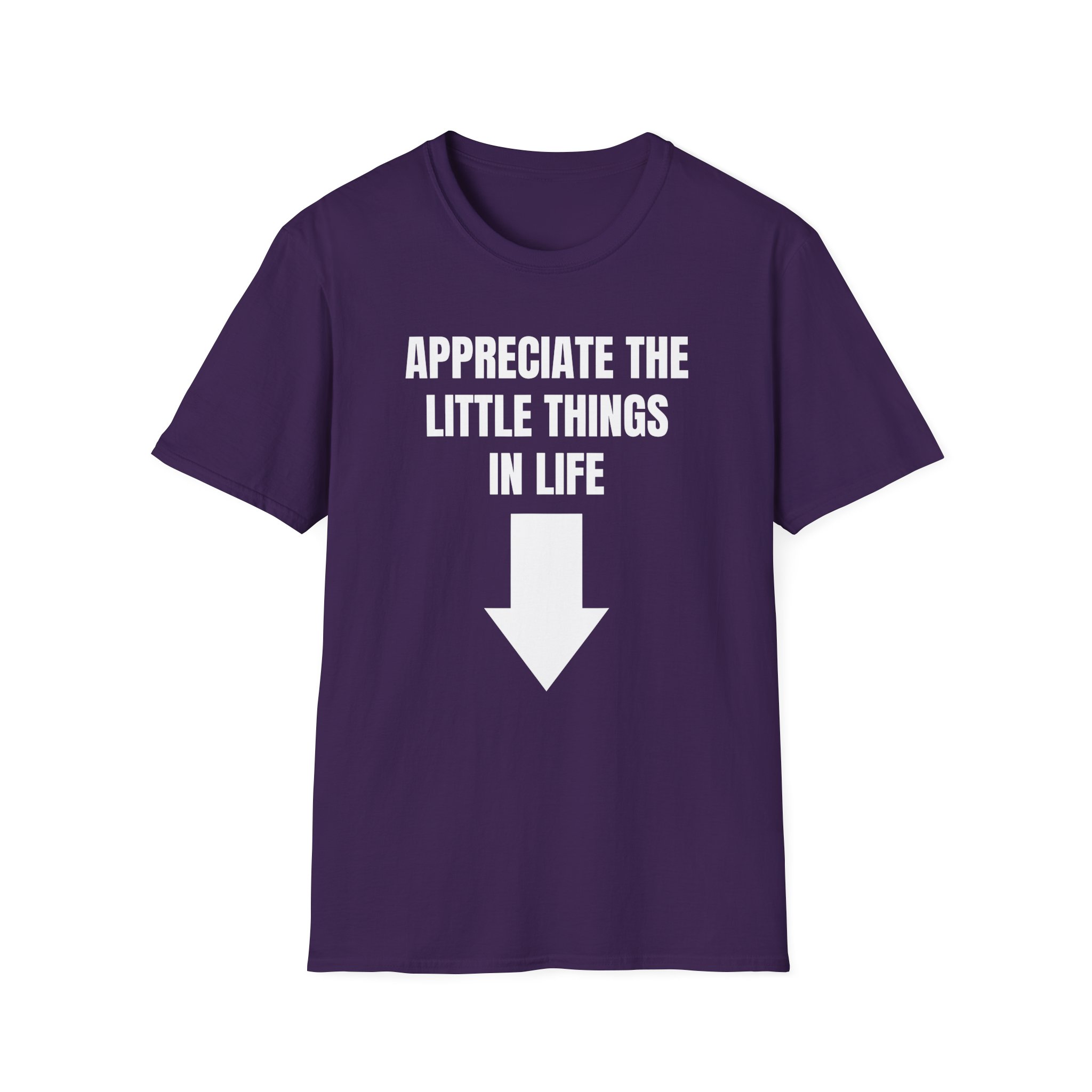 Jynxzi Appreciate the Little Things in Life Unisex Softstyle T-Shirt