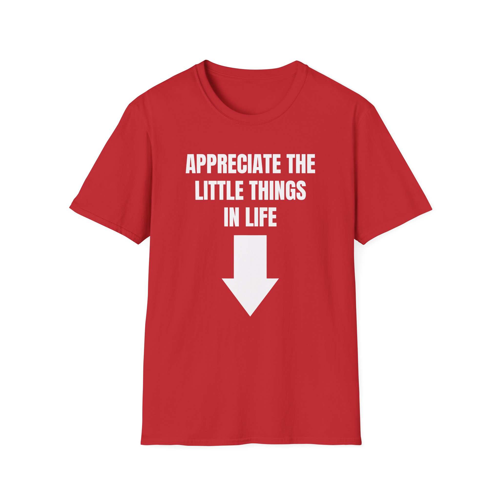 Jynxzi Appreciate the Little Things in Life Unisex Softstyle T-Shirt