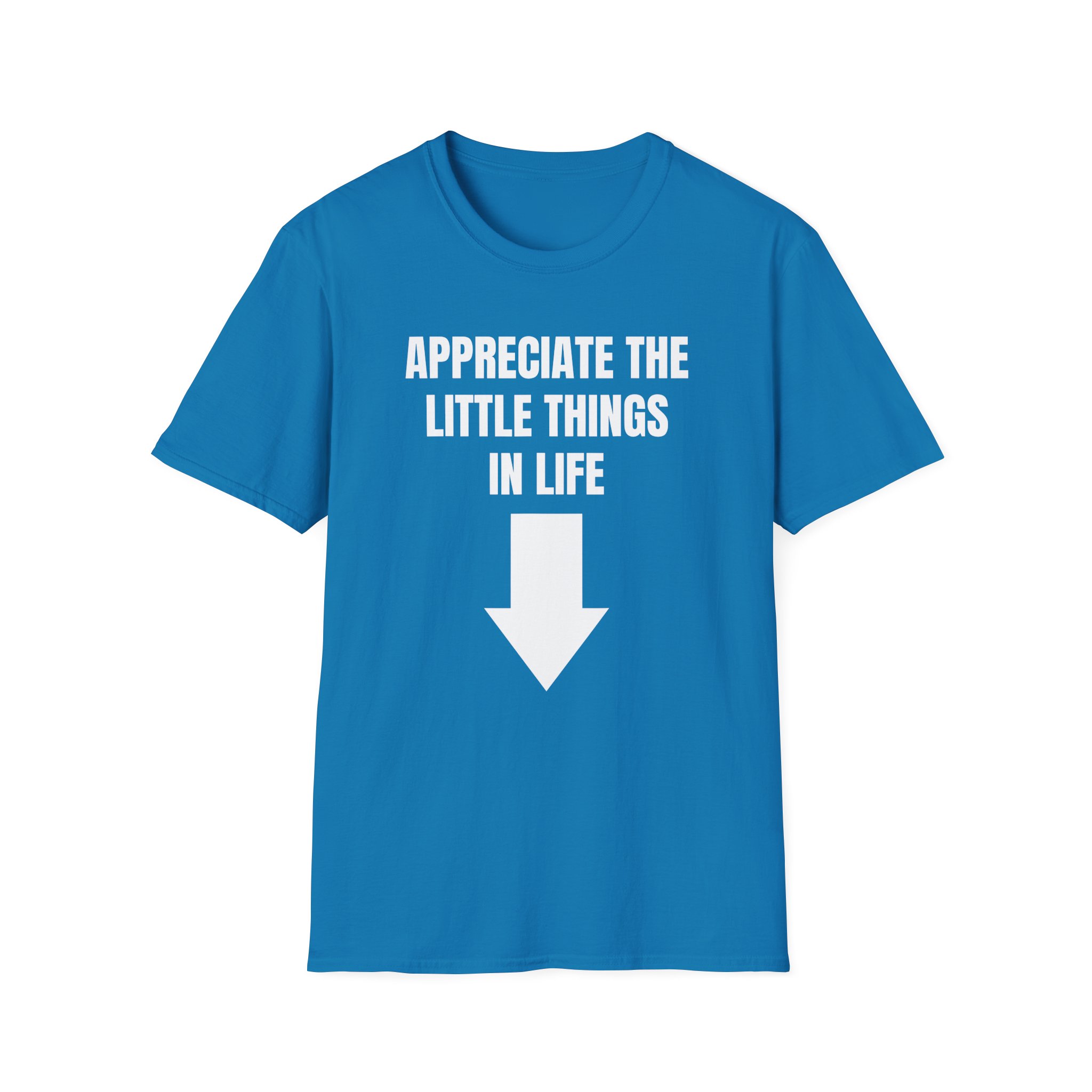 Jynxzi Appreciate the Little Things in Life Unisex Softstyle T-Shirt