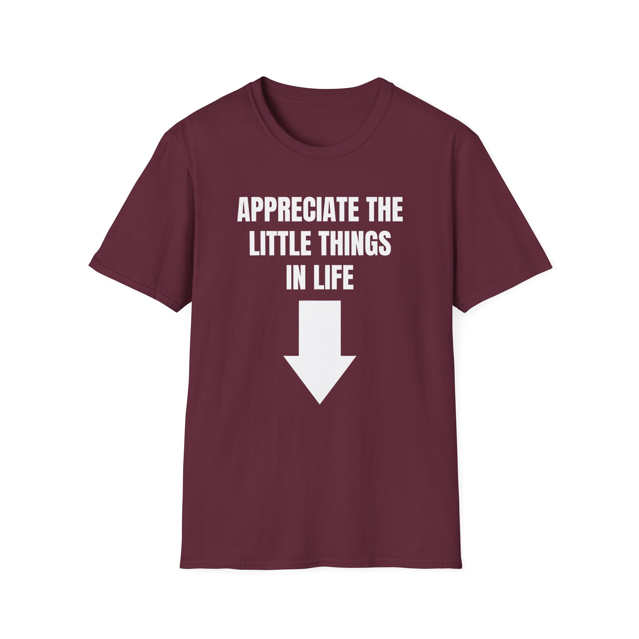 Jynxzi Appreciate the Little Things in Life Unisex Softstyle T-Shirt