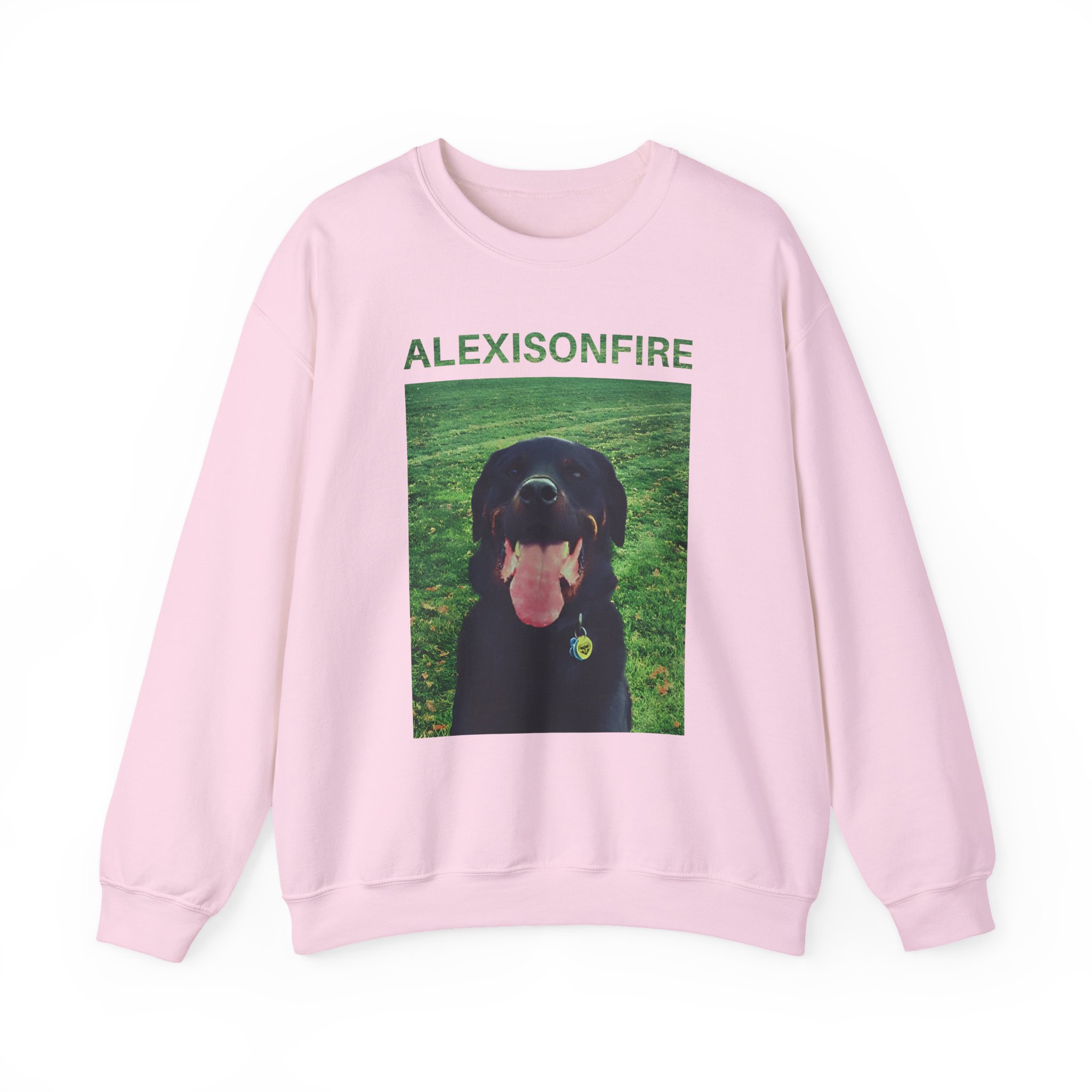 Alexisonfire Brixton Unisex Heavy Blendâ„¢ Crewneck Sweatshirt