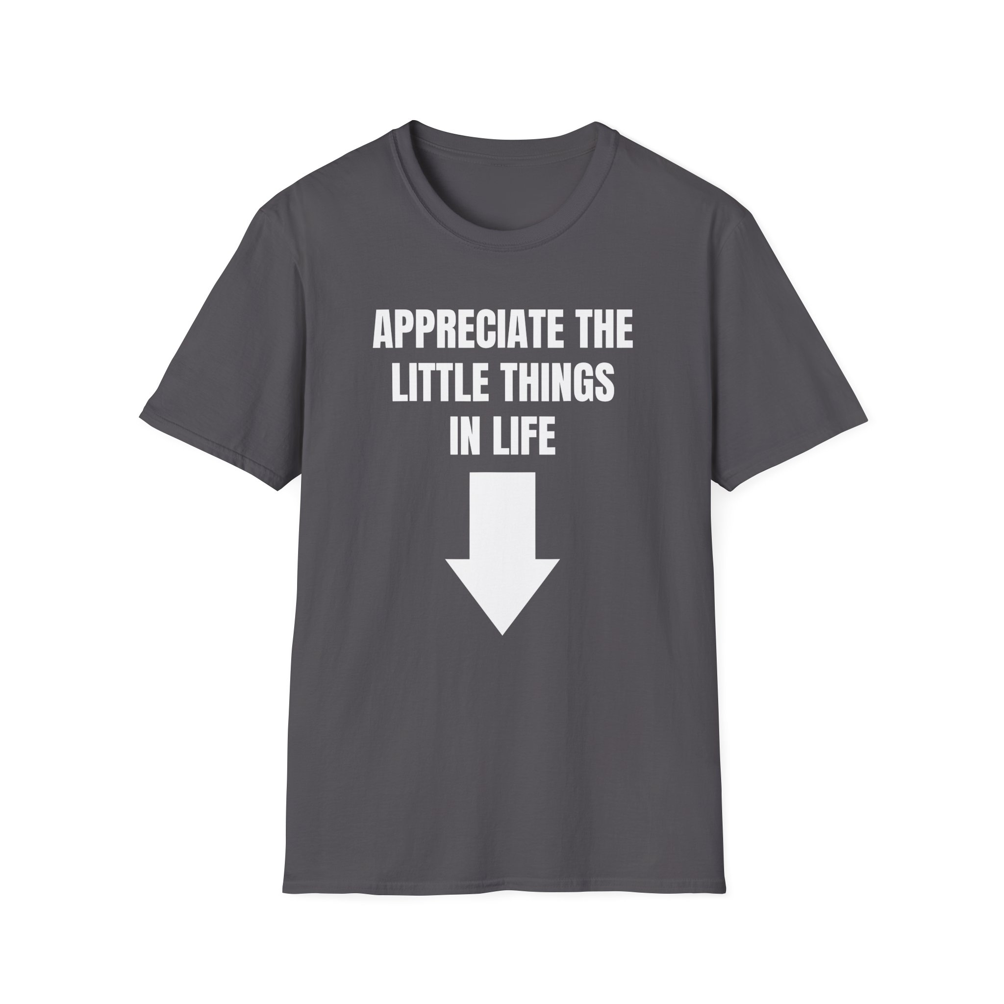 Jynxzi Appreciate the Little Things in Life Unisex Softstyle T-Shirt