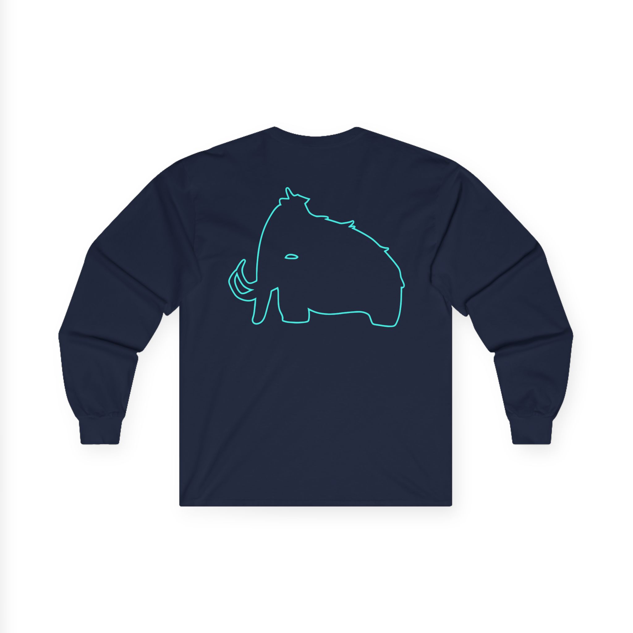 Wooli Teal Unisex Ultra Cotton Long Sleeve Tee