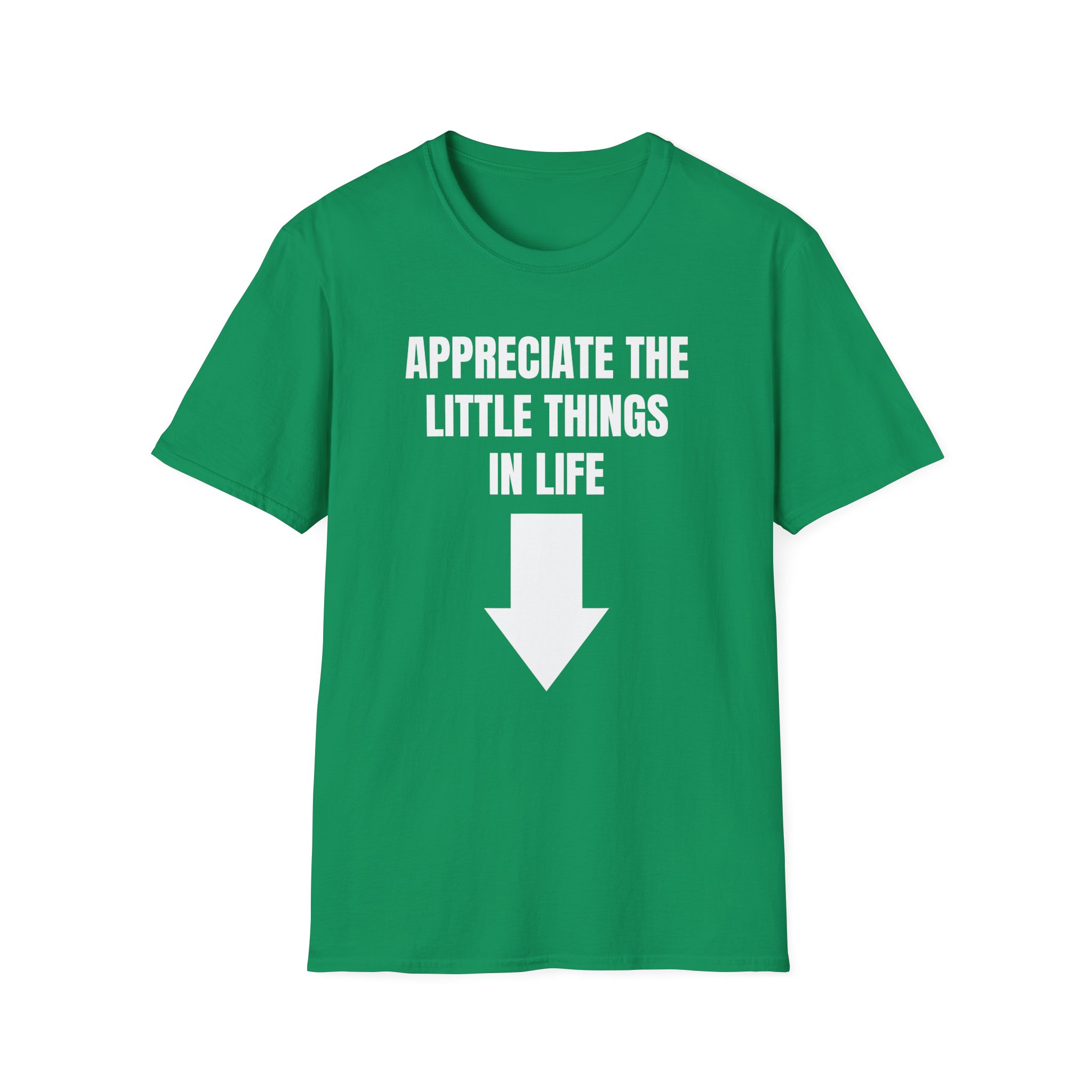 Jynxzi Appreciate the Little Things in Life Unisex Softstyle T-Shirt