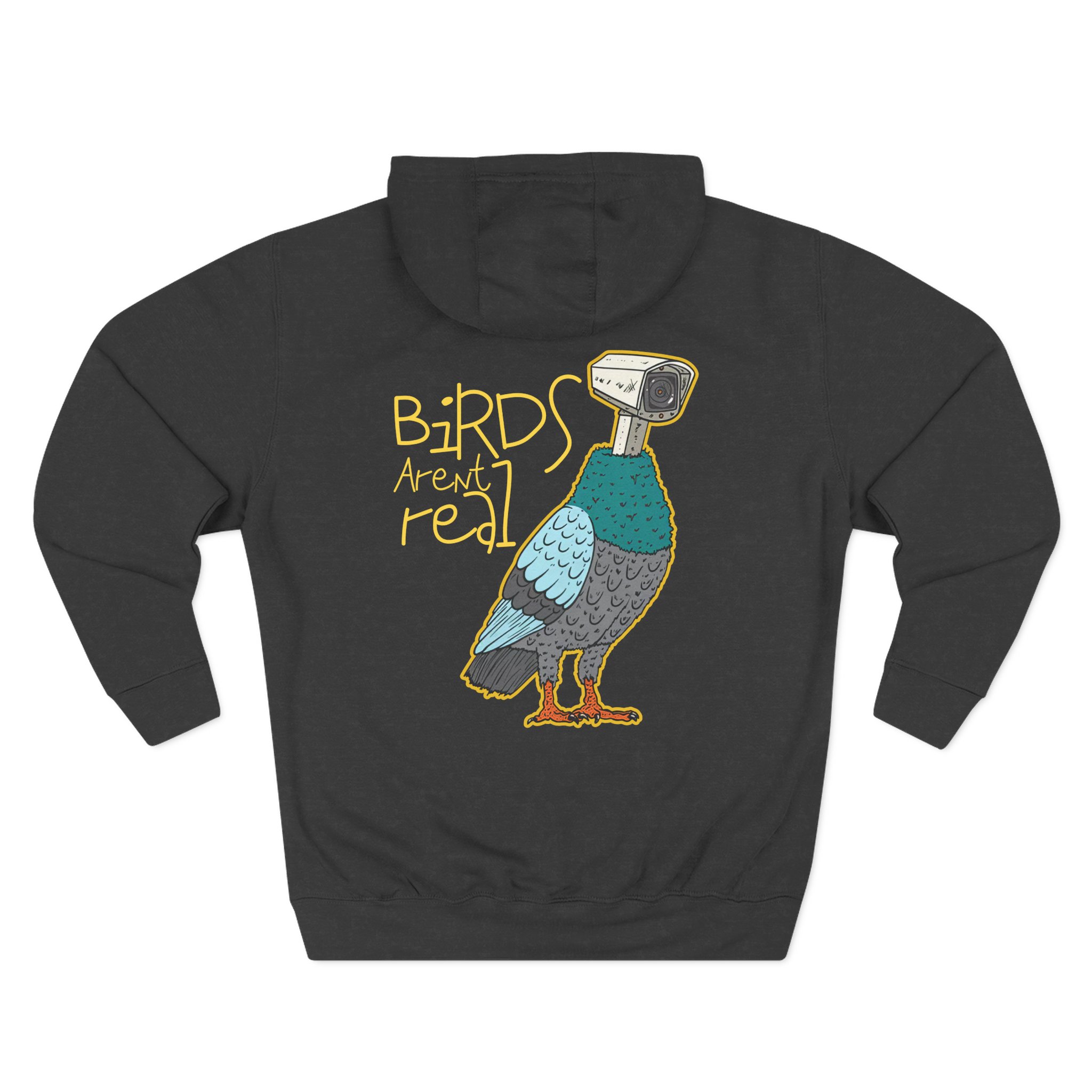 Birds Arent Real Three-Panel Fleece Hoodie