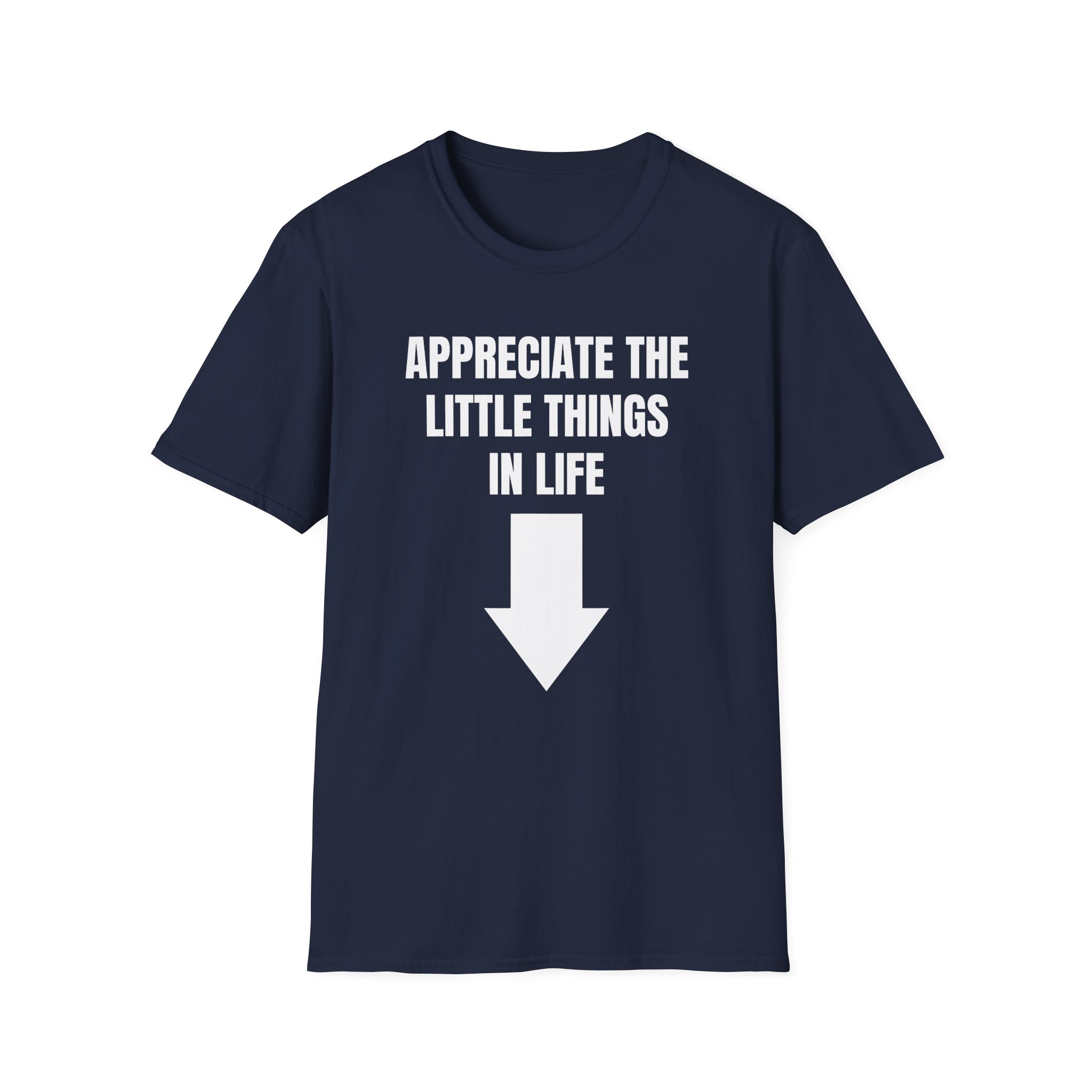Jynxzi Appreciate the Little Things in Life Unisex Softstyle T-Shirt