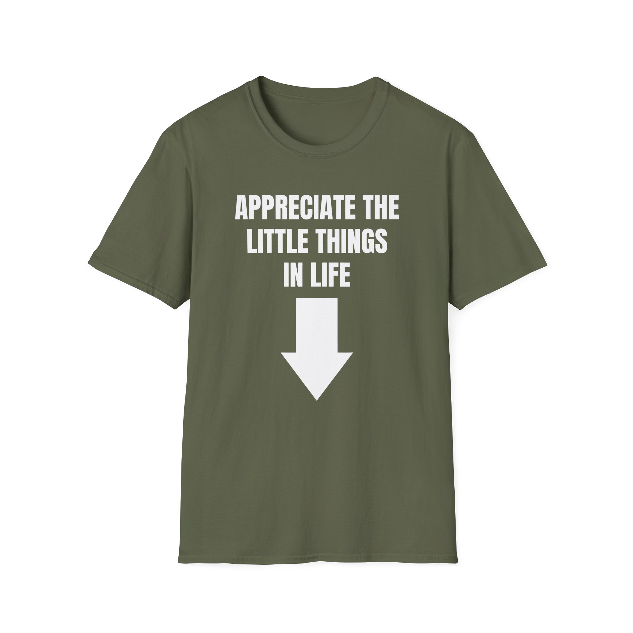 Jynxzi Appreciate the Little Things in Life Unisex Softstyle T-Shirt