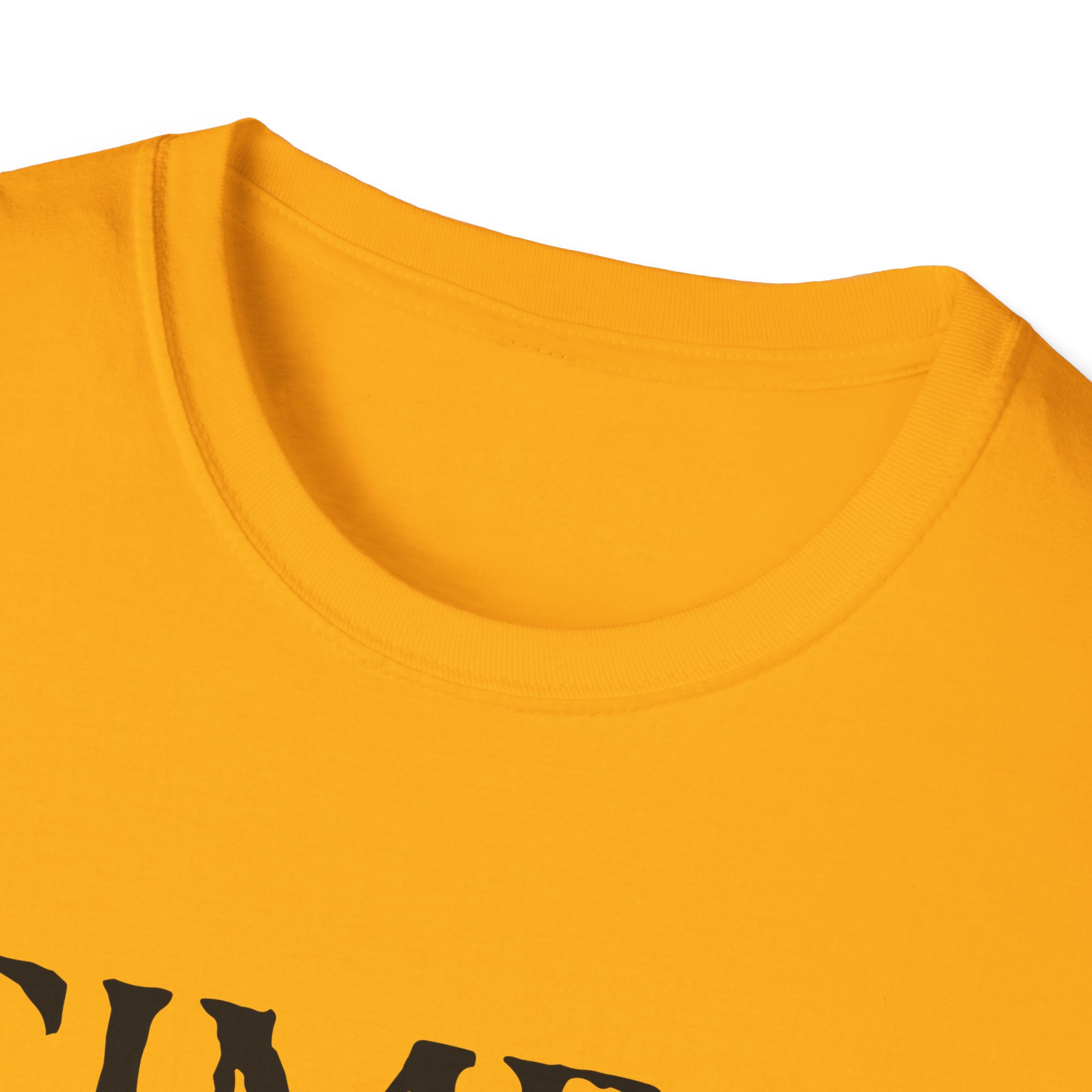 Anti Cimex Records Unisex Softstyle T-shirt