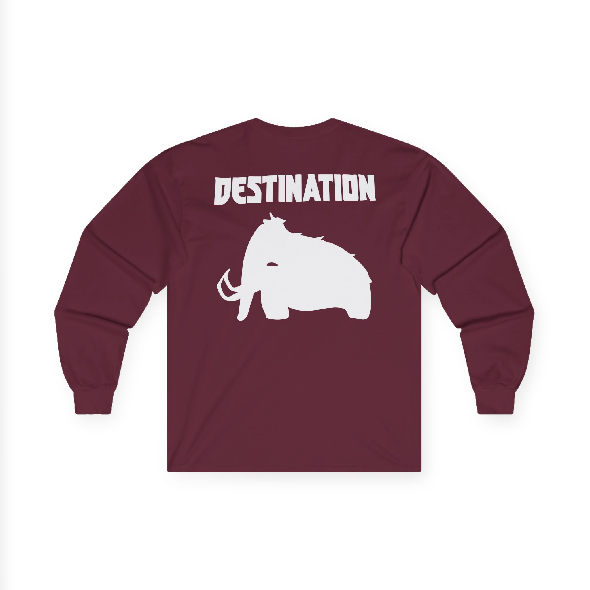 Wooli Destination Unisex Ultra Cotton Long Sleeve Tee