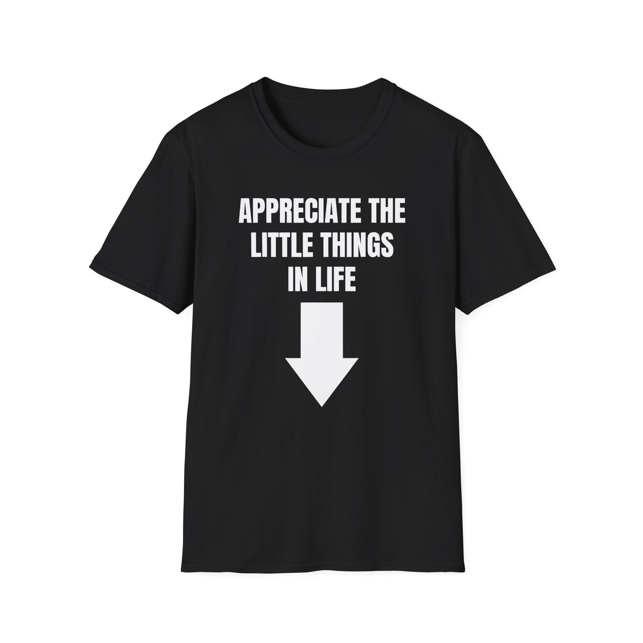 Jynxzi Appreciate the Little Things in Life Unisex Softstyle T-Shirt