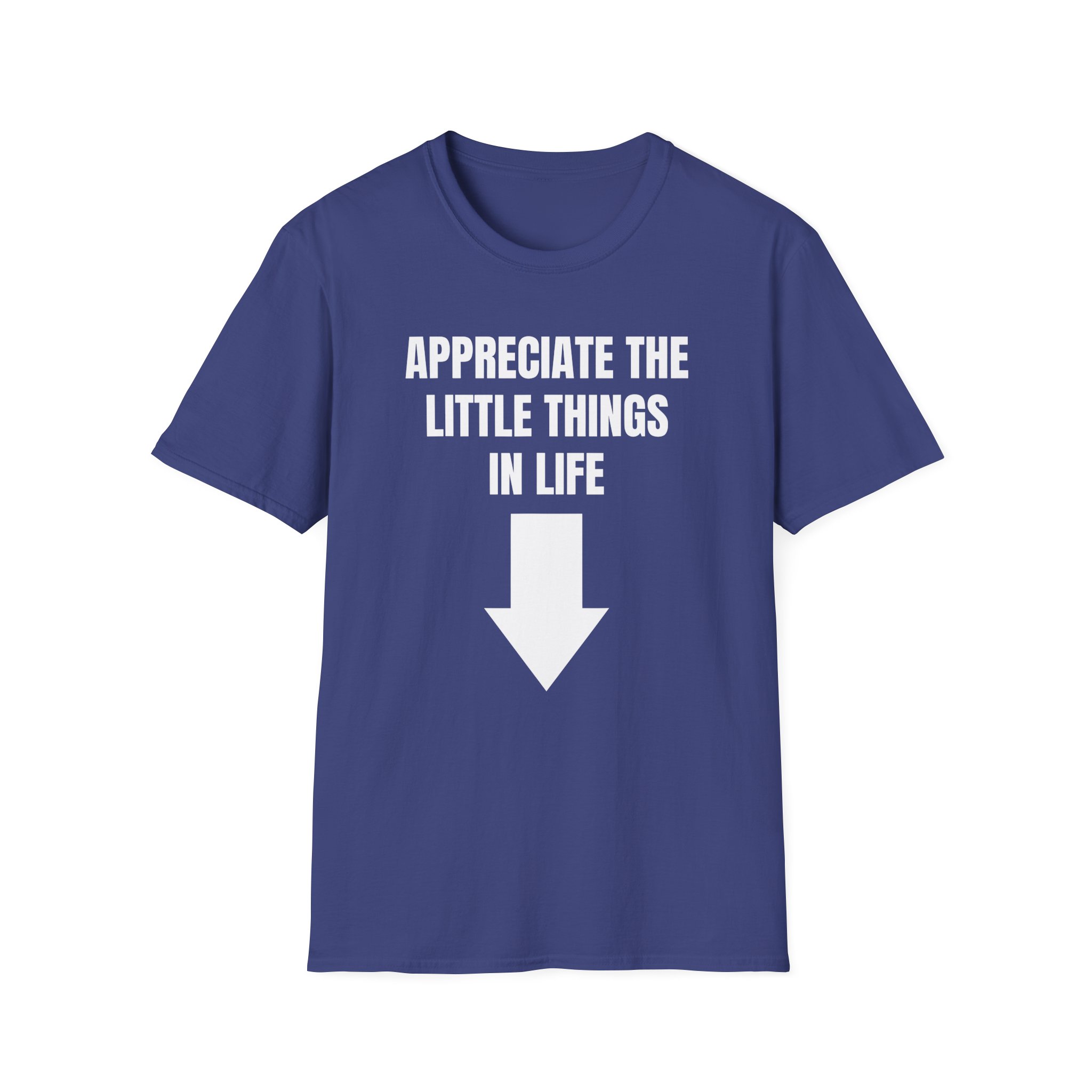 Jynxzi Appreciate the Little Things in Life Unisex Softstyle T-Shirt