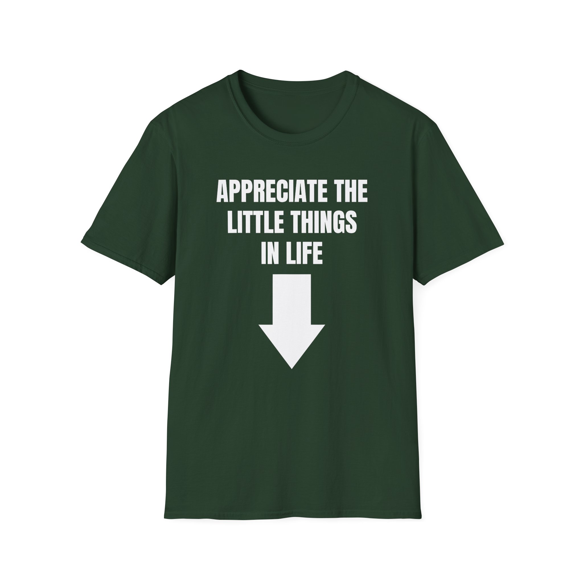 Jynxzi Appreciate the Little Things in Life Unisex Softstyle T-Shirt