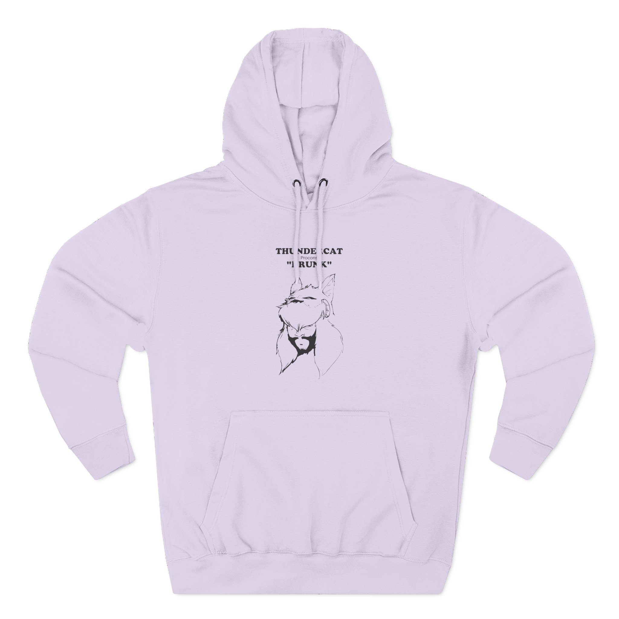 Thundercat Three-Panel Fleece Hoodie