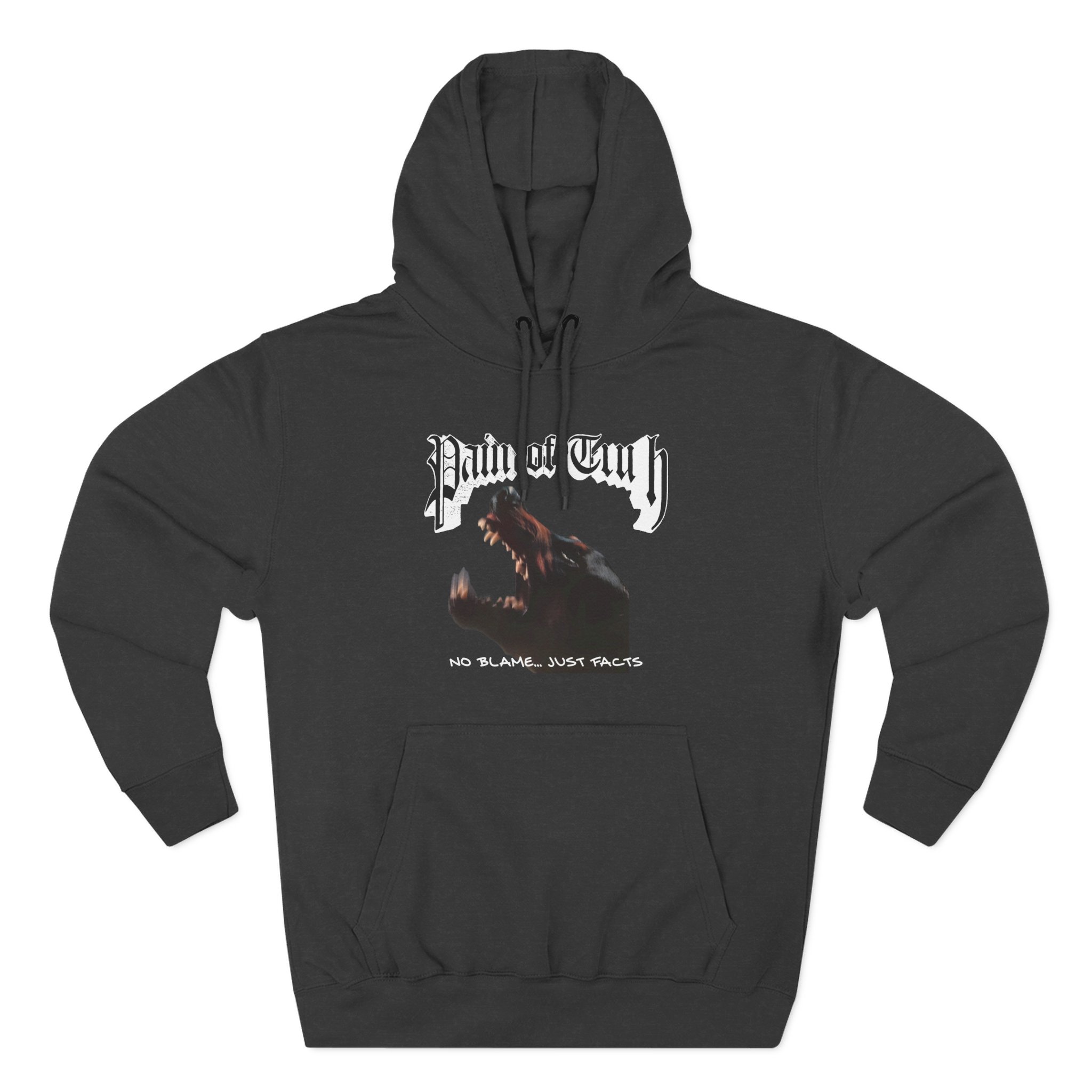 Pain of Truth No Blame...just Facts Three-Panel Fleece Hoodie