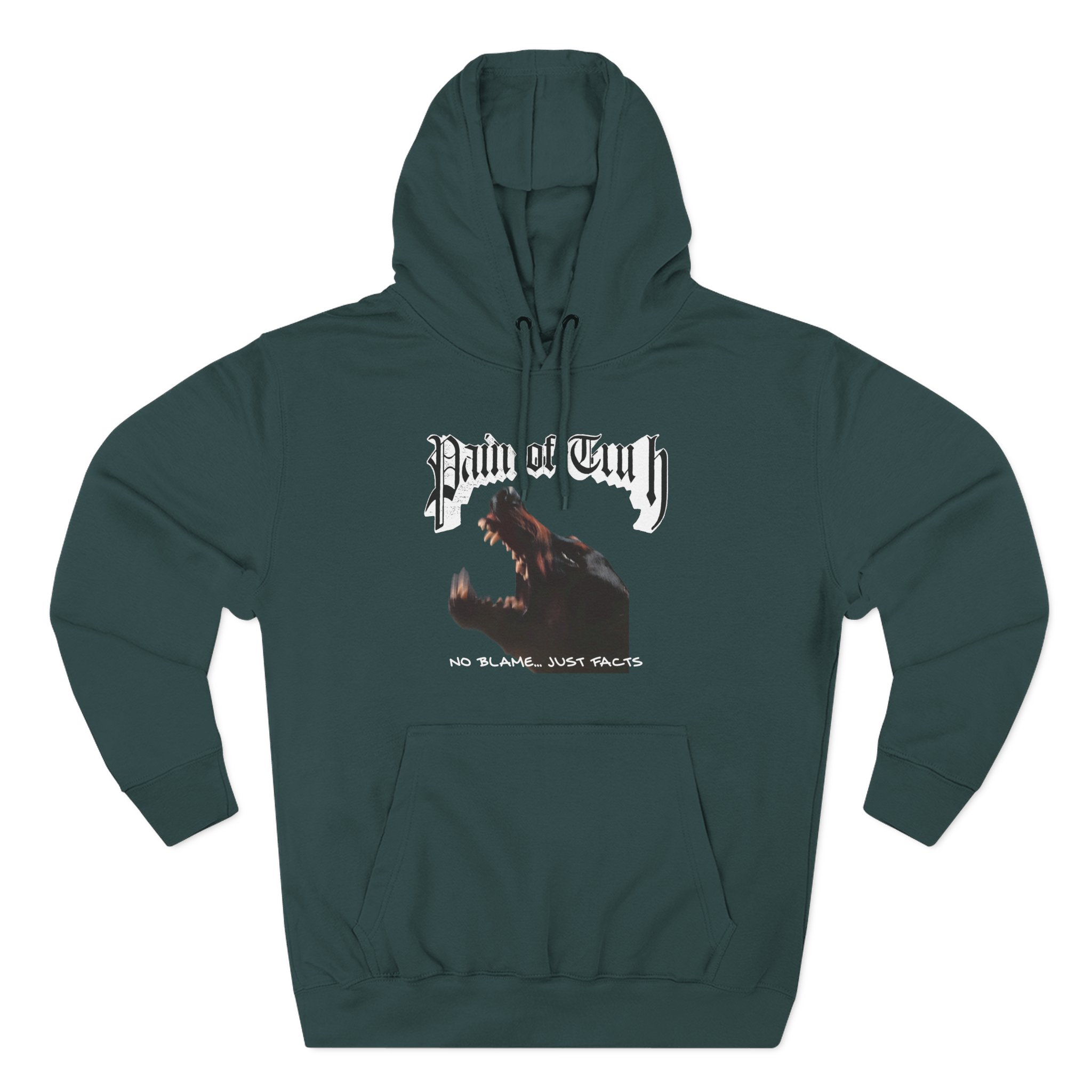 Pain of Truth No Blame...just Facts Three-Panel Fleece Hoodie