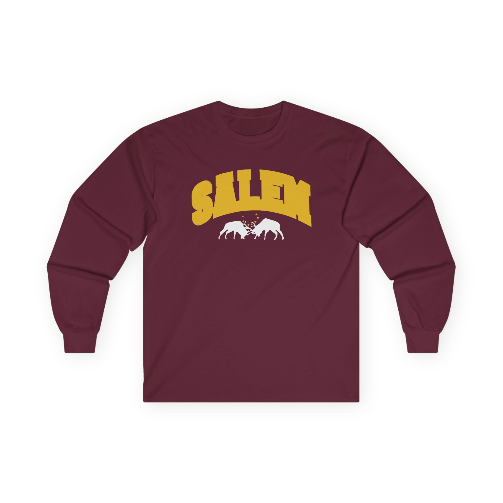 Salem Collegiate Unisex Ultra Cotton Long Sleeve Tee