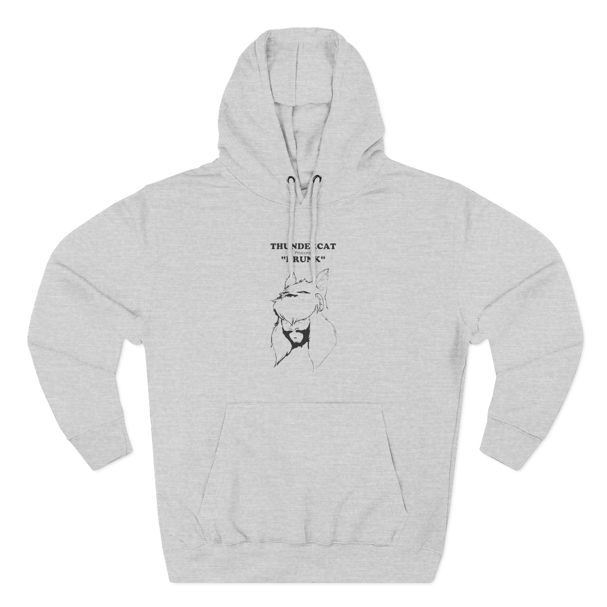 Thundercat Three-Panel Fleece Hoodie