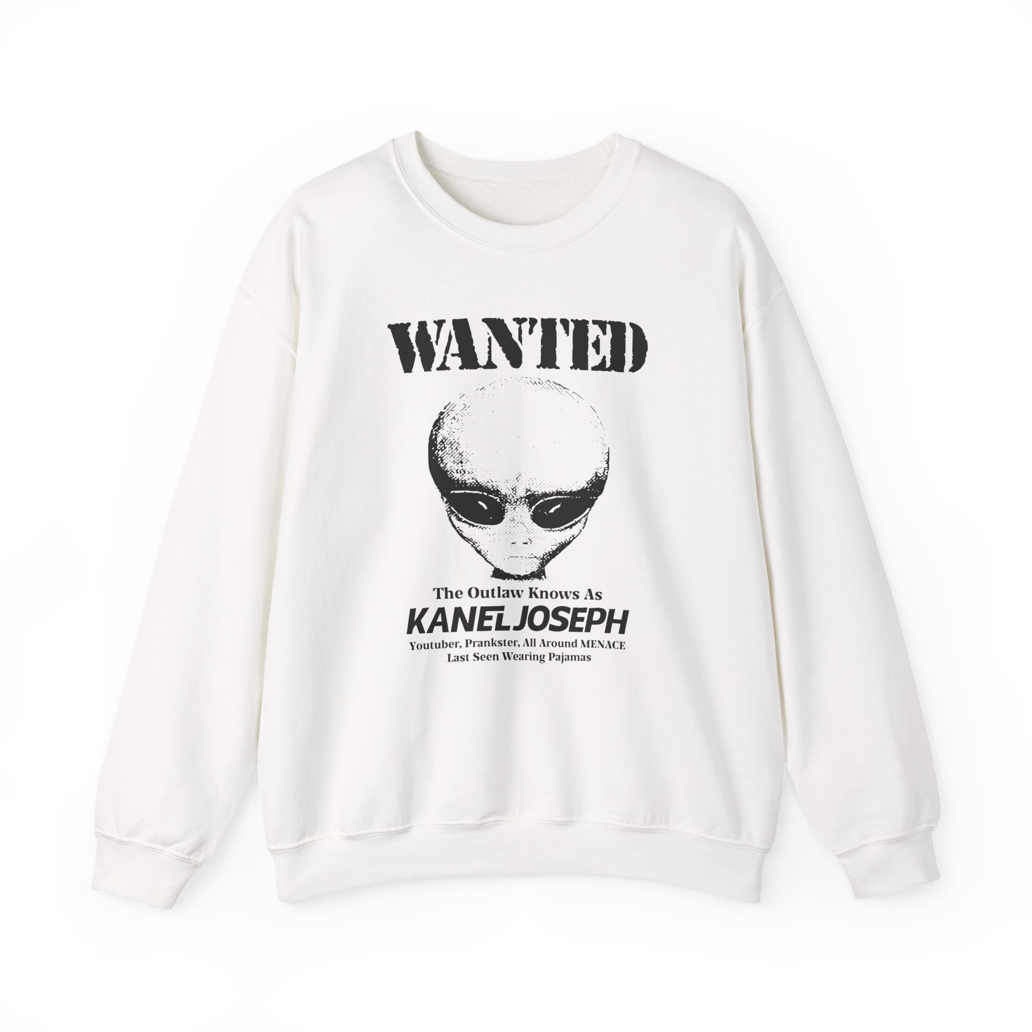 Kanel Joseph Wanted Alien Unisex Heavy Blendâ„¢ Crewneck Sweatshirt