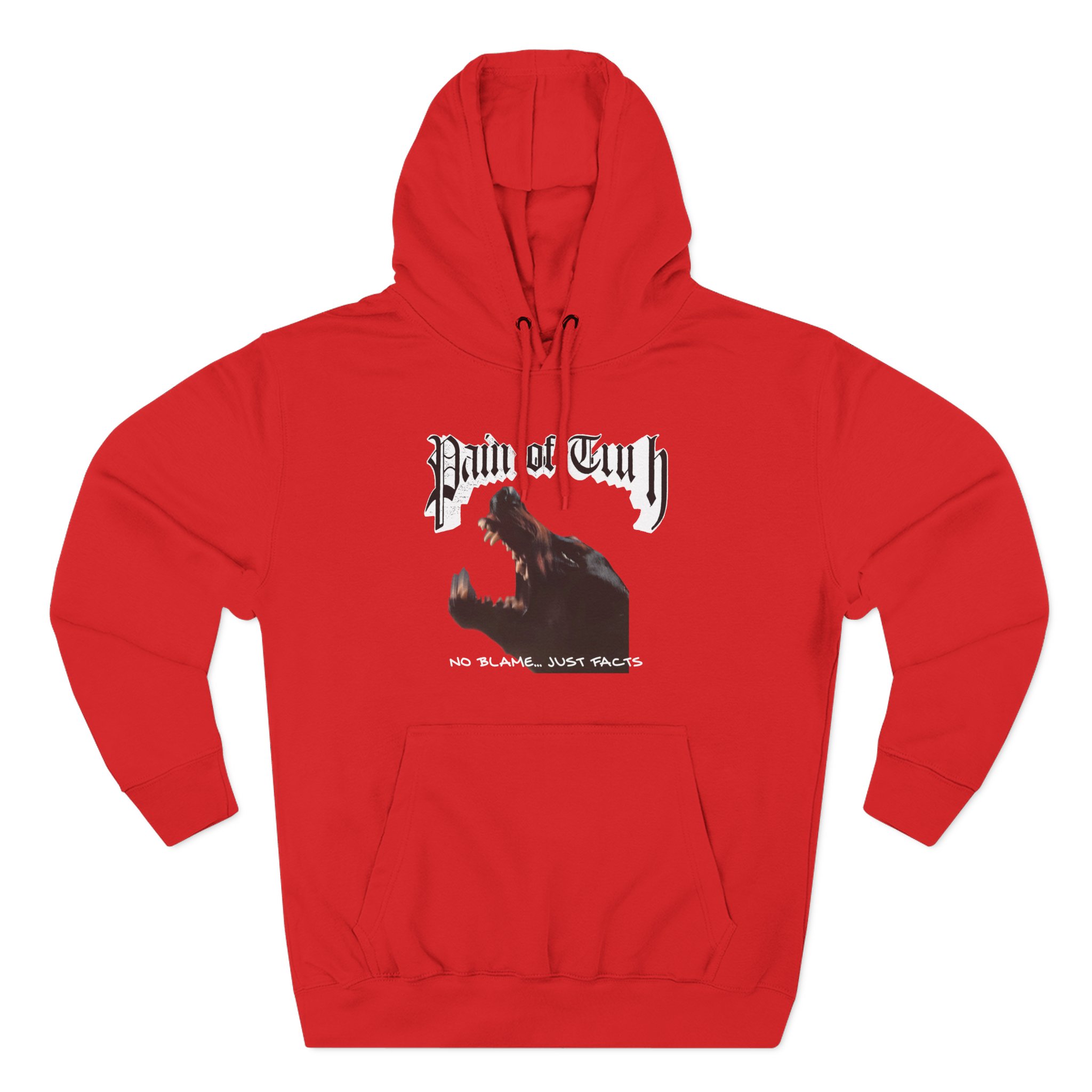 Pain of Truth No Blame...just Facts Three-Panel Fleece Hoodie