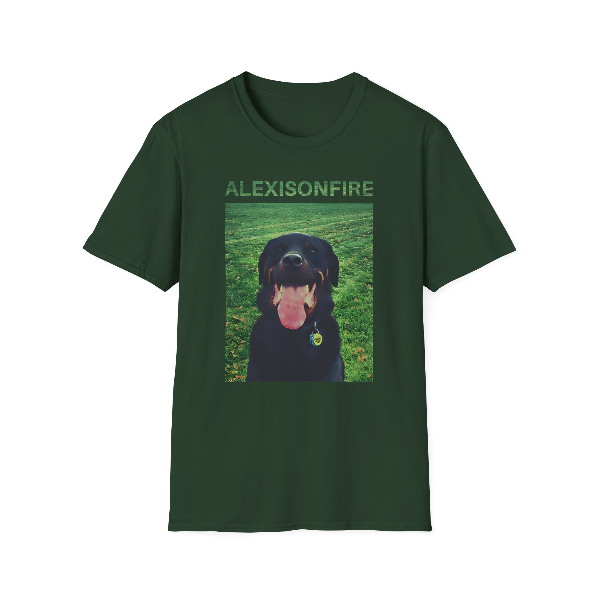 Alexisonfire Brixton Unisex Softstyle T-Shirt