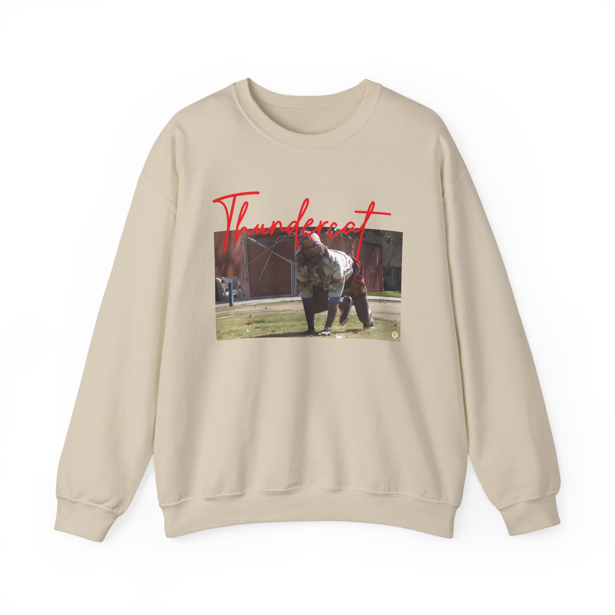 Thundercat Crouching Unisex Heavy Blendâ„¢ Crewneck Sweatshirt