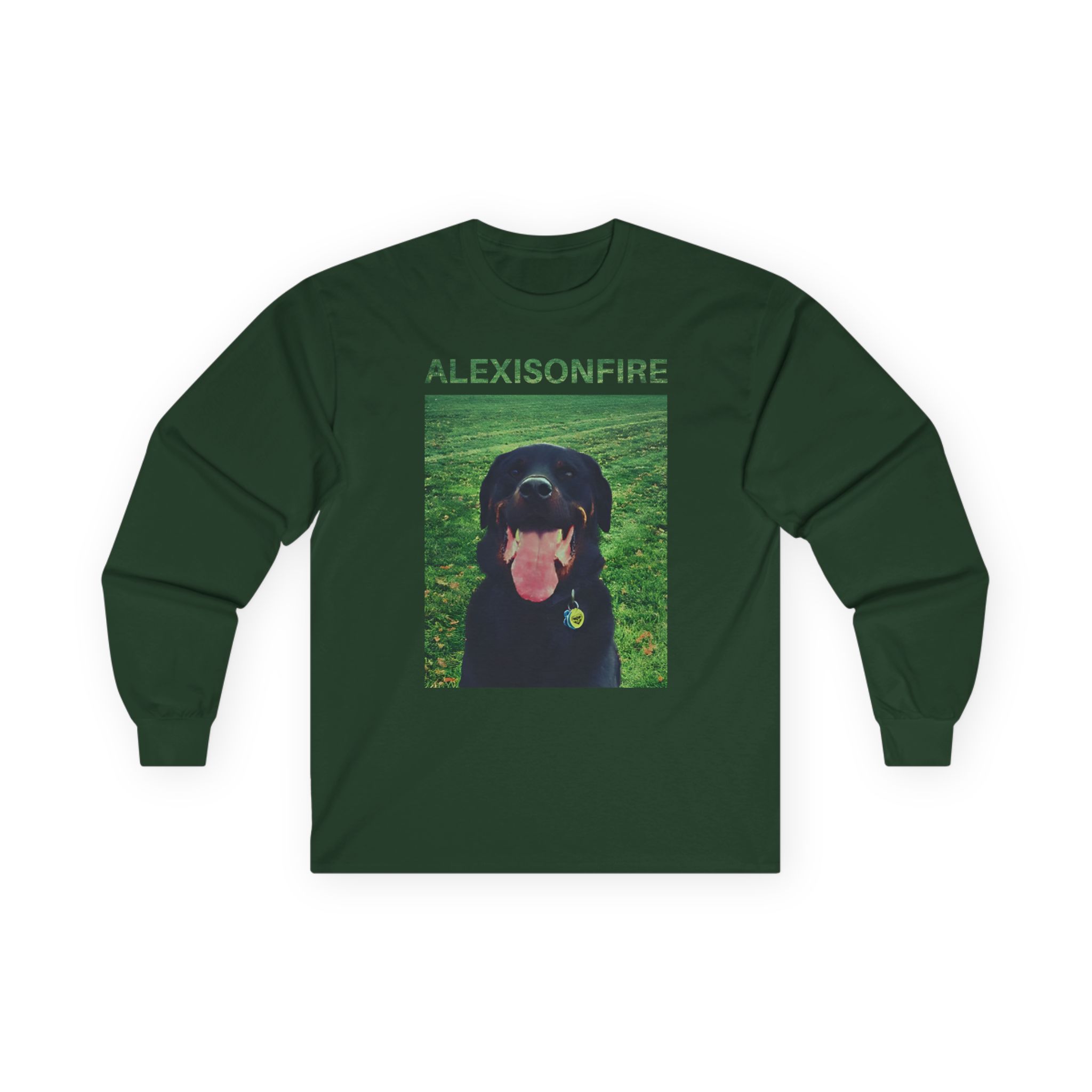 Alexisonfire Brixton Unisex Ultra Cotton Long Sleeve Tee