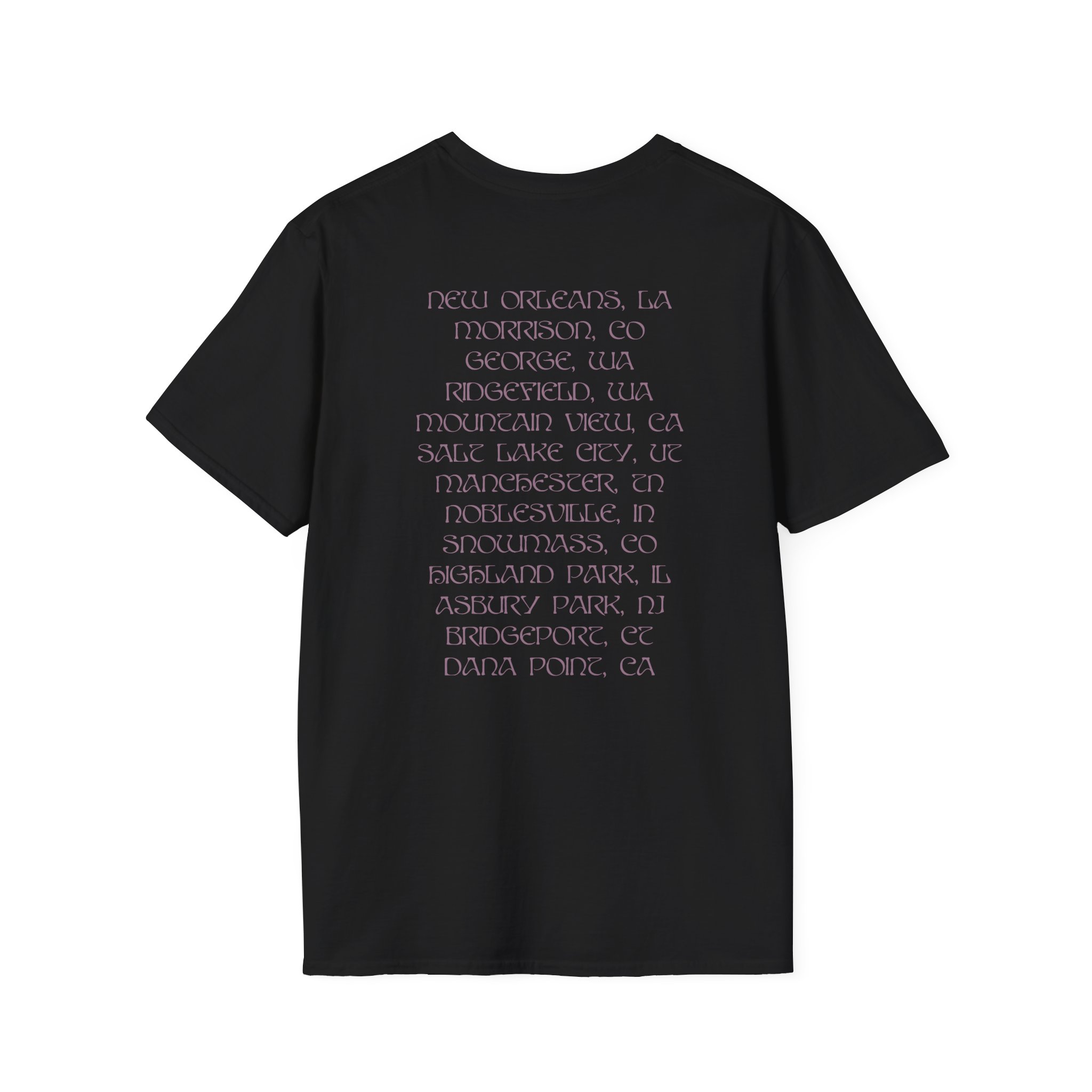 Stevie Nicks Tour Unisex Softstyle T-Shirt