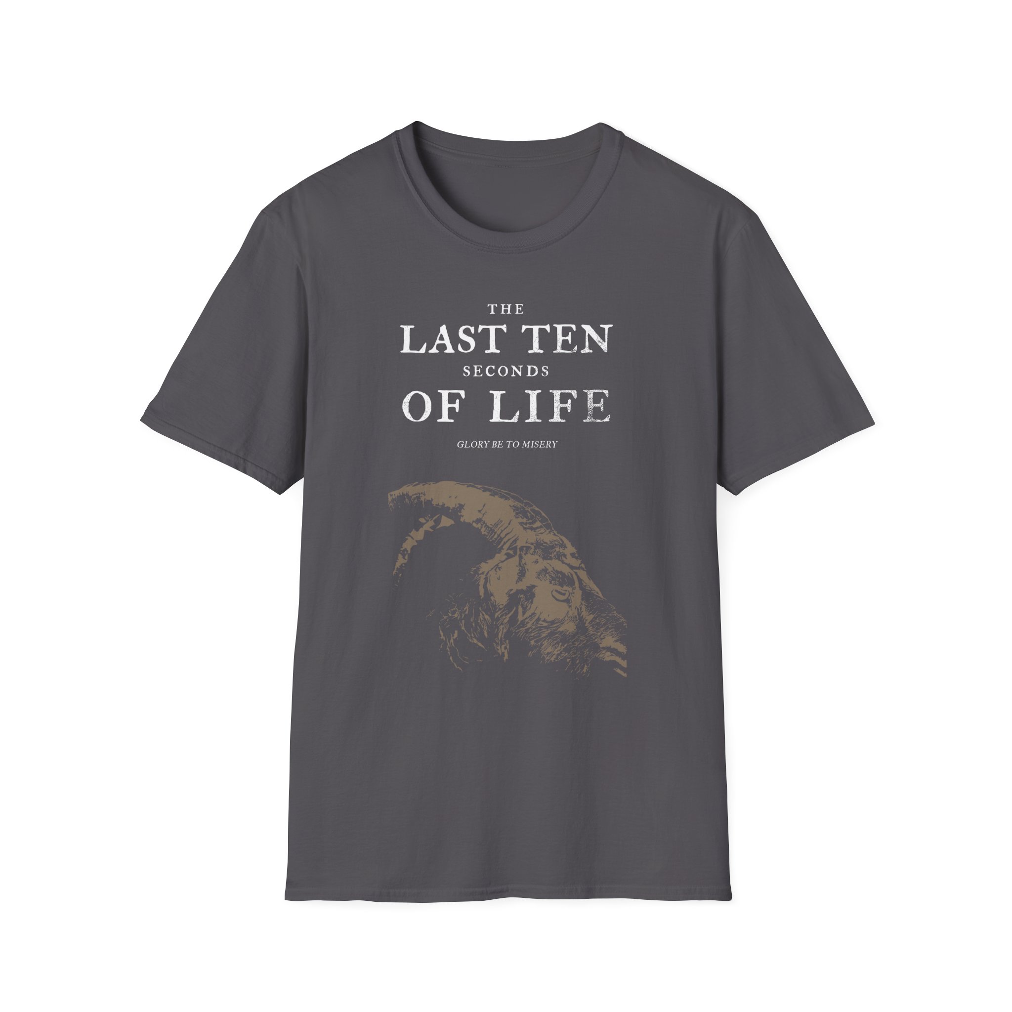 The Last Ten Seconds of Life Unisex Softstyle T-Shirt
