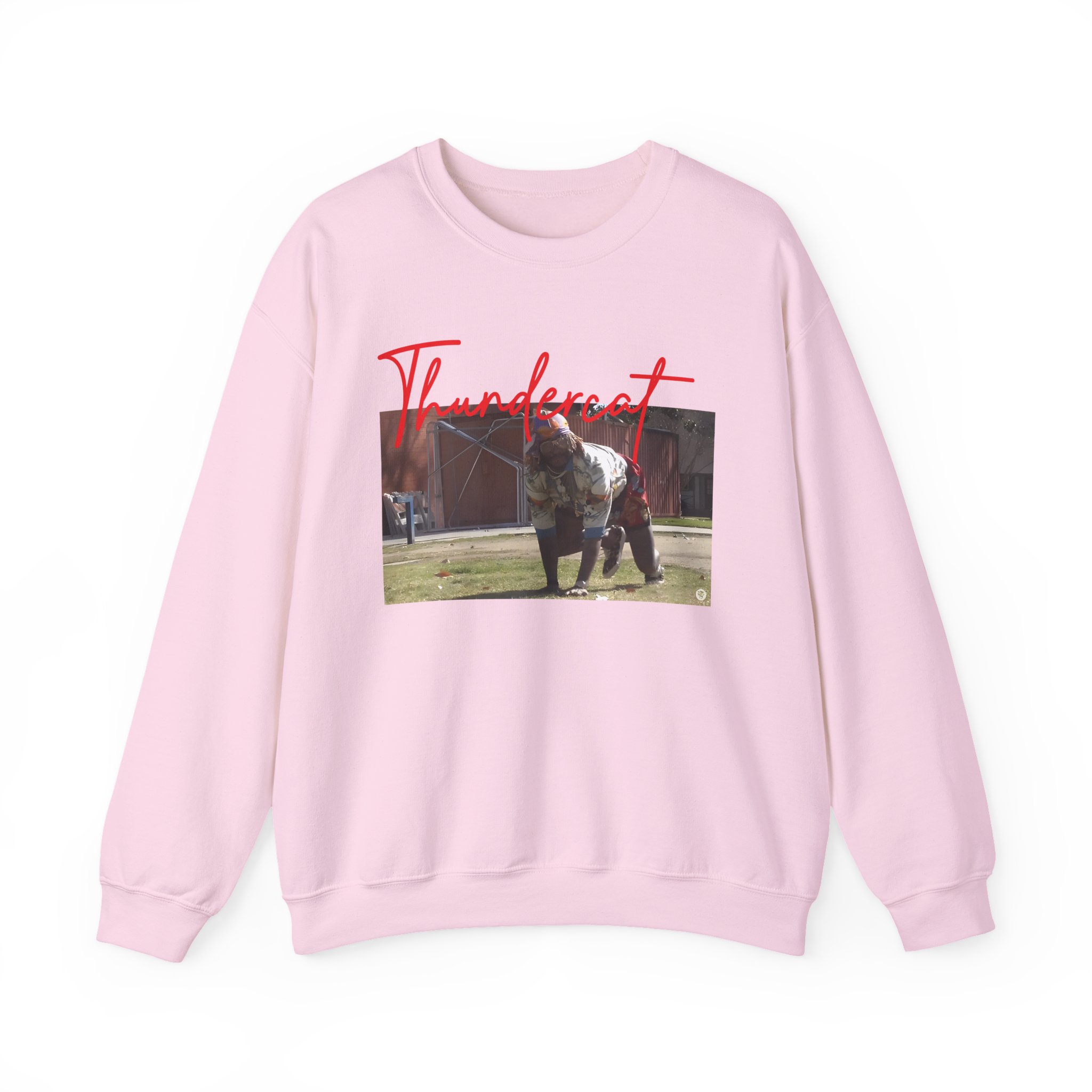 Thundercat Crouching Unisex Heavy Blendâ„¢ Crewneck Sweatshirt