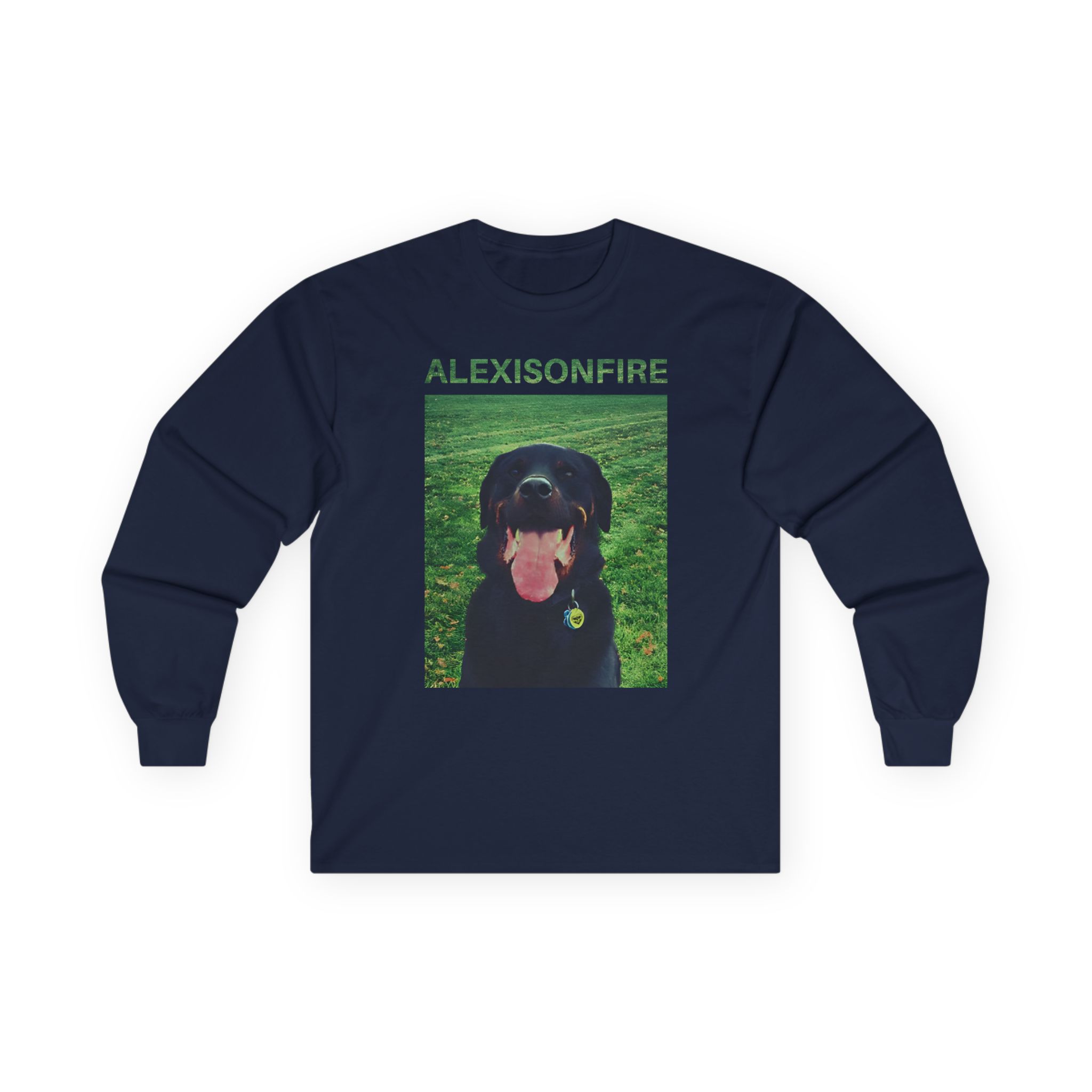 Alexisonfire Brixton Unisex Ultra Cotton Long Sleeve Tee