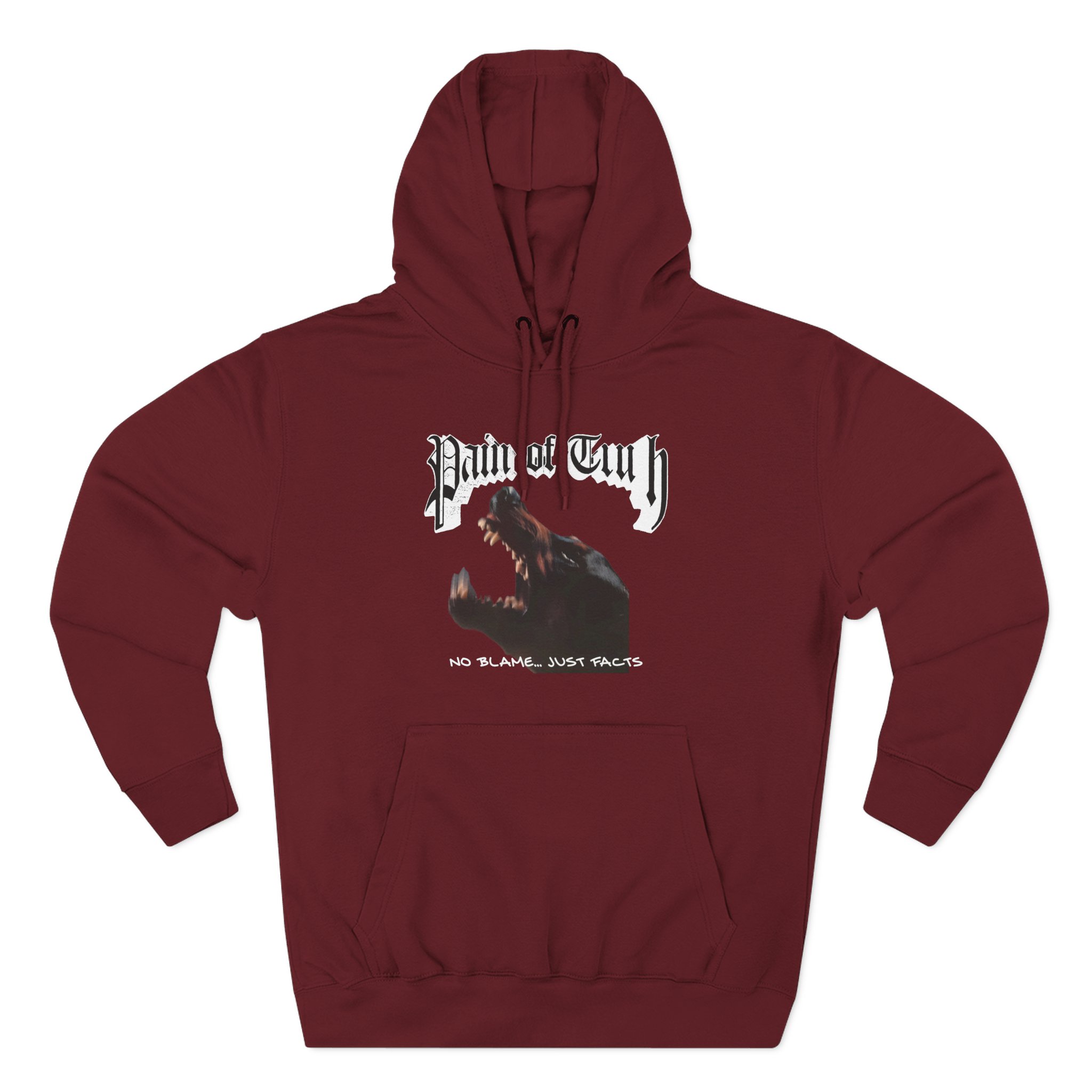 Pain of Truth No Blame...just Facts Three-Panel Fleece Hoodie