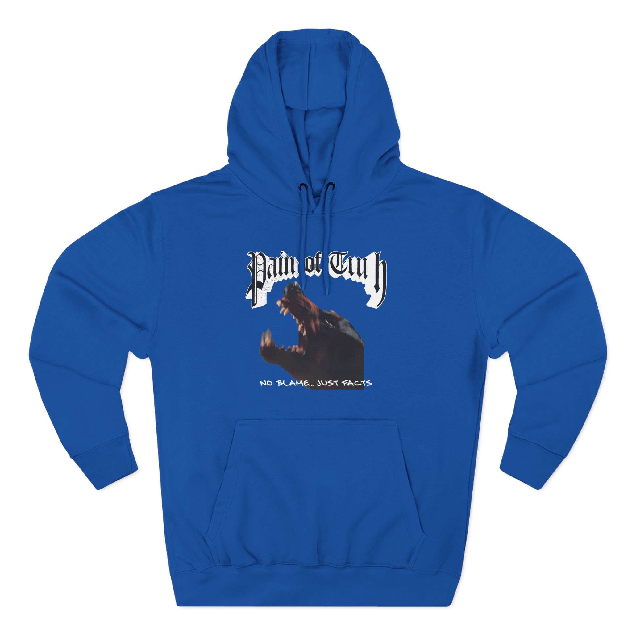 Pain of Truth No Blame...just Facts Three-Panel Fleece Hoodie