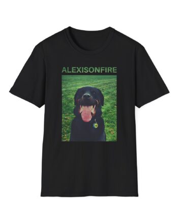Alexisonfire Brixton Unisex Softstyle T-Shirt