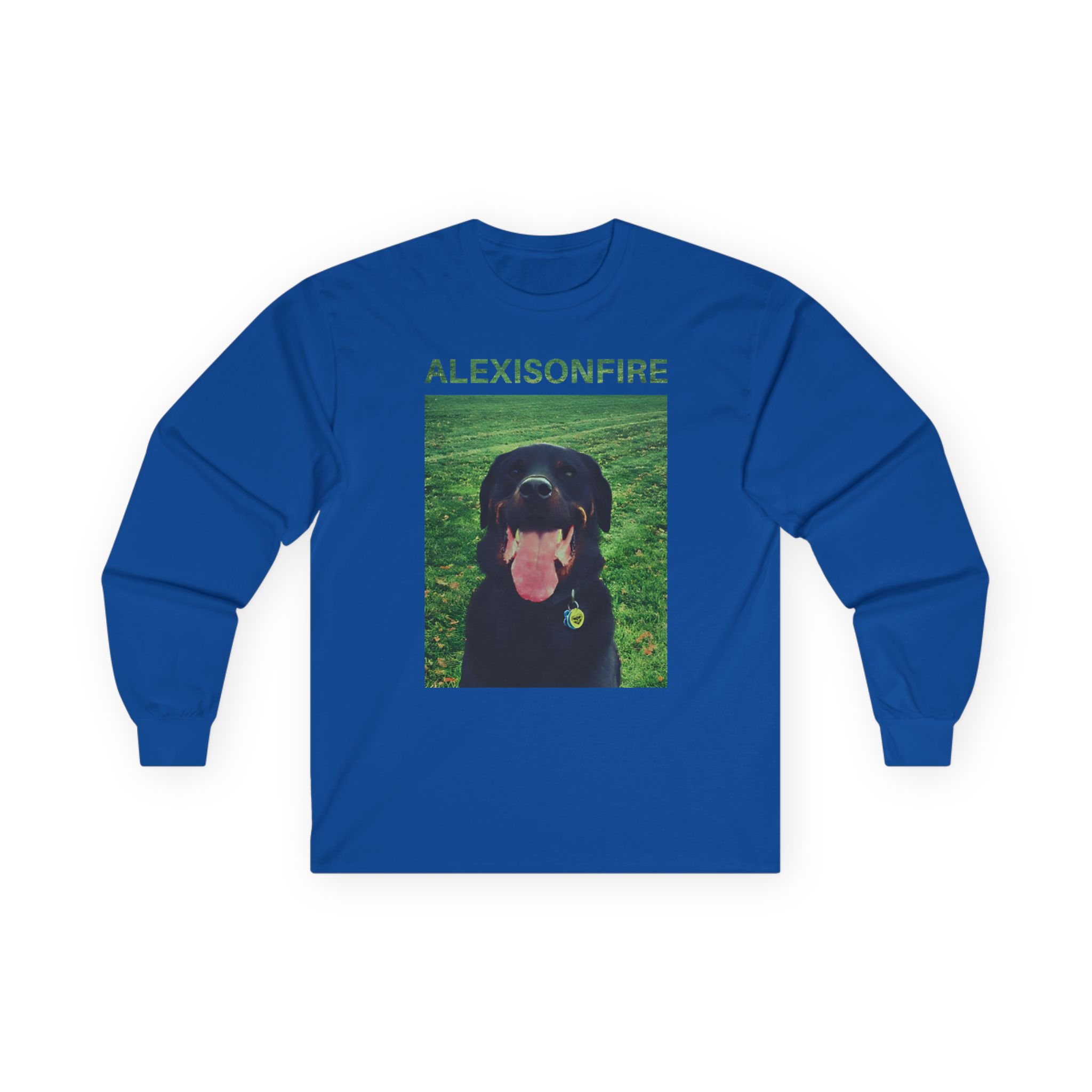 Alexisonfire Brixton Unisex Ultra Cotton Long Sleeve Tee