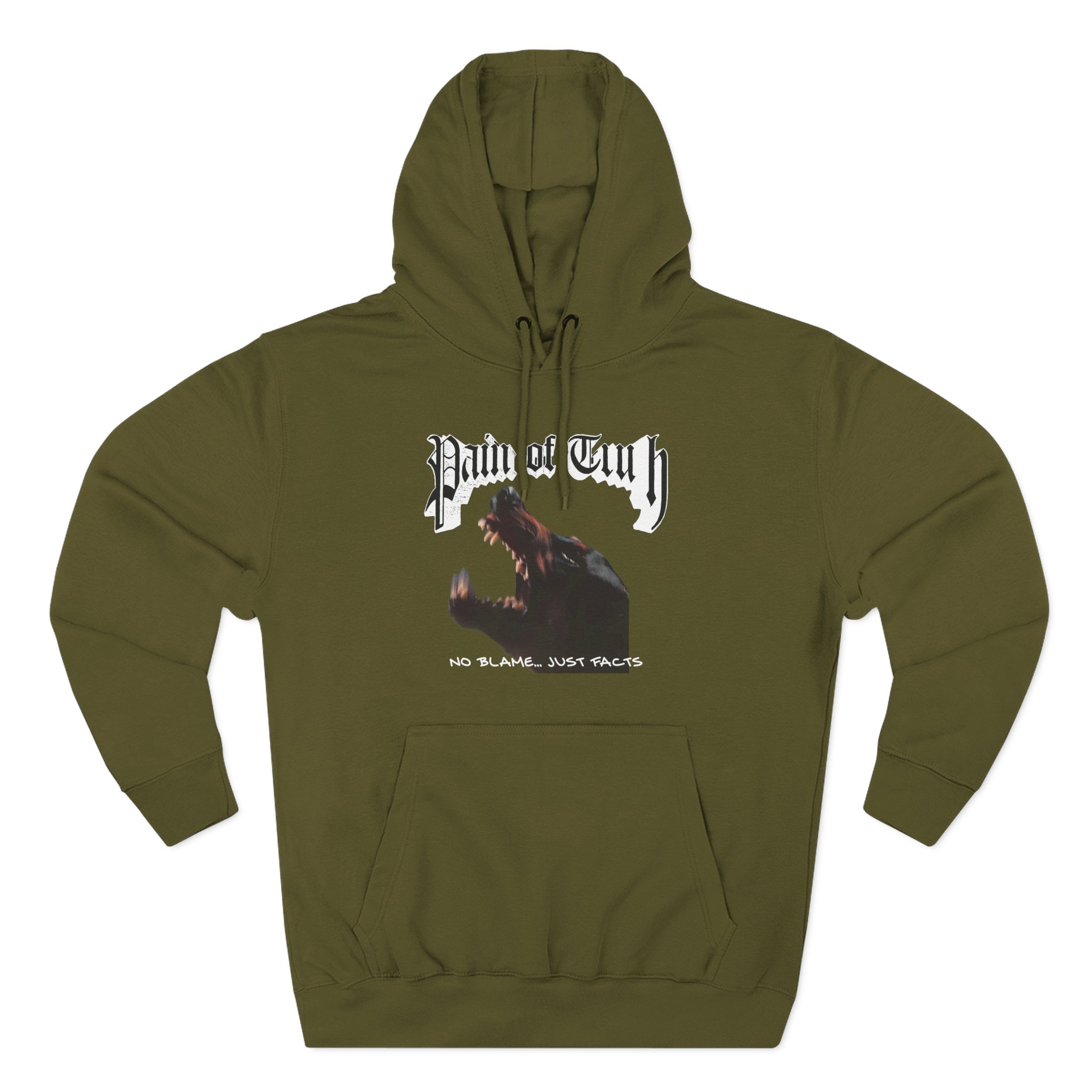 Pain of Truth No Blame...just Facts Three-Panel Fleece Hoodie
