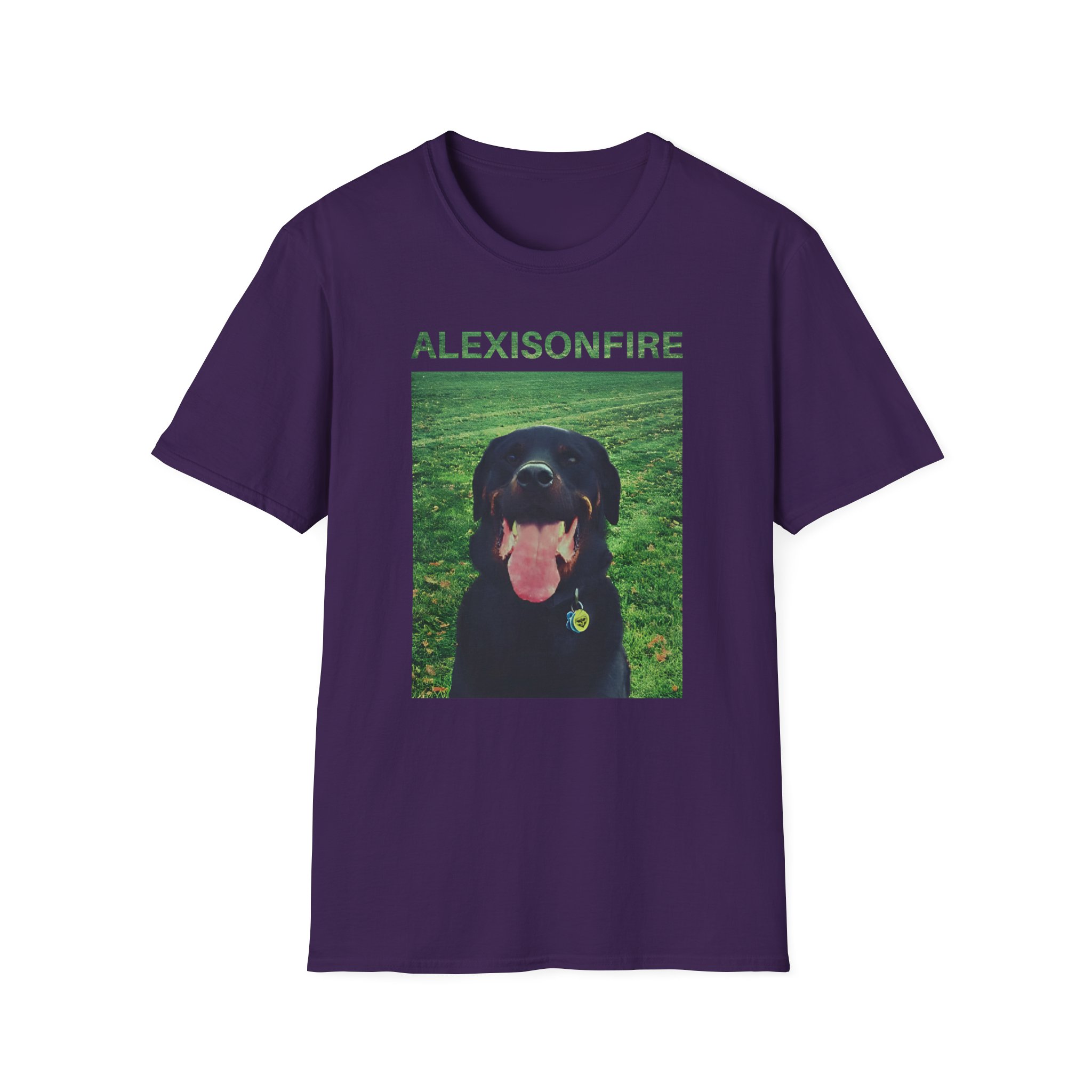 Alexisonfire Brixton Unisex Softstyle T-Shirt