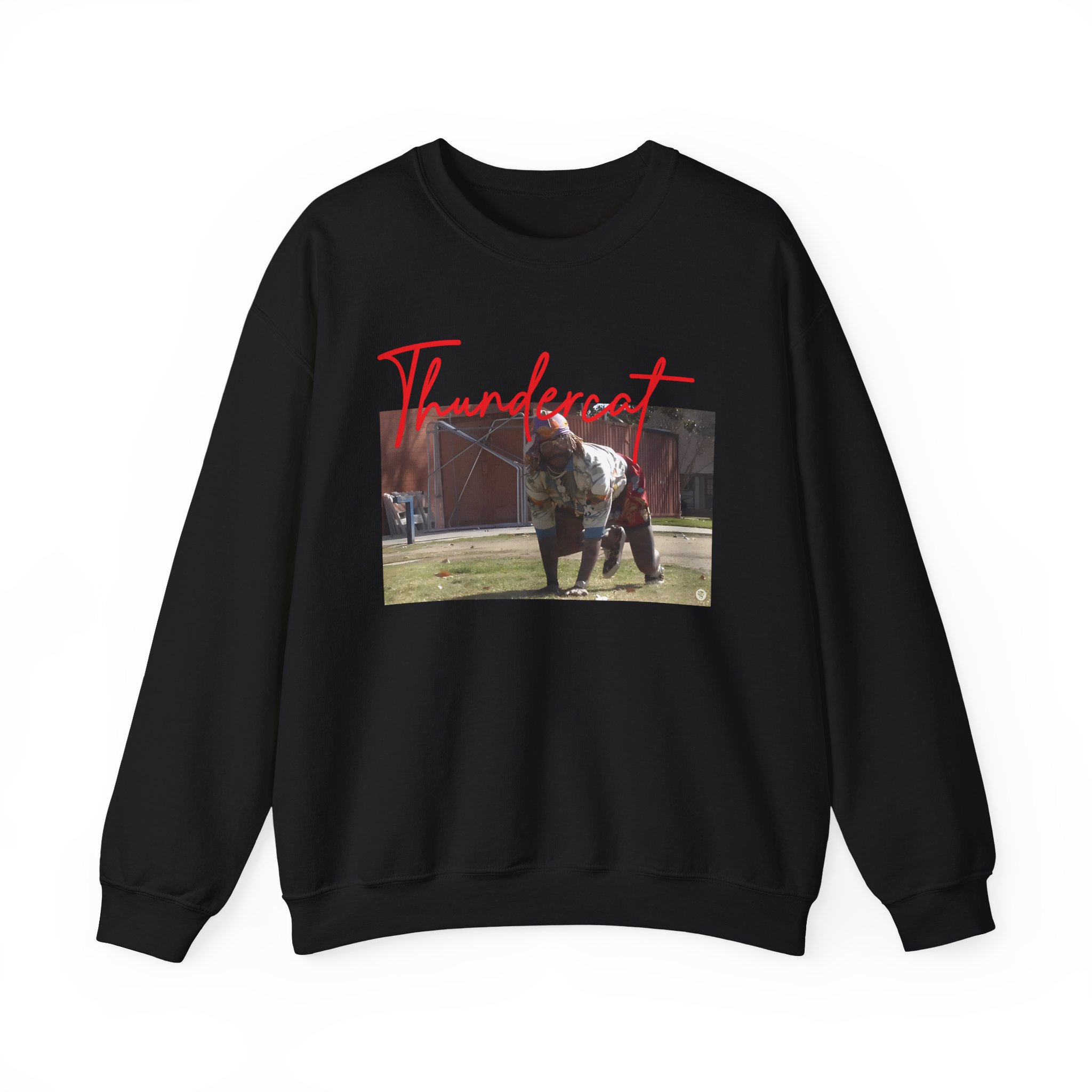 Thundercat Crouching Unisex Heavy Blendâ„¢ Crewneck Sweatshirt