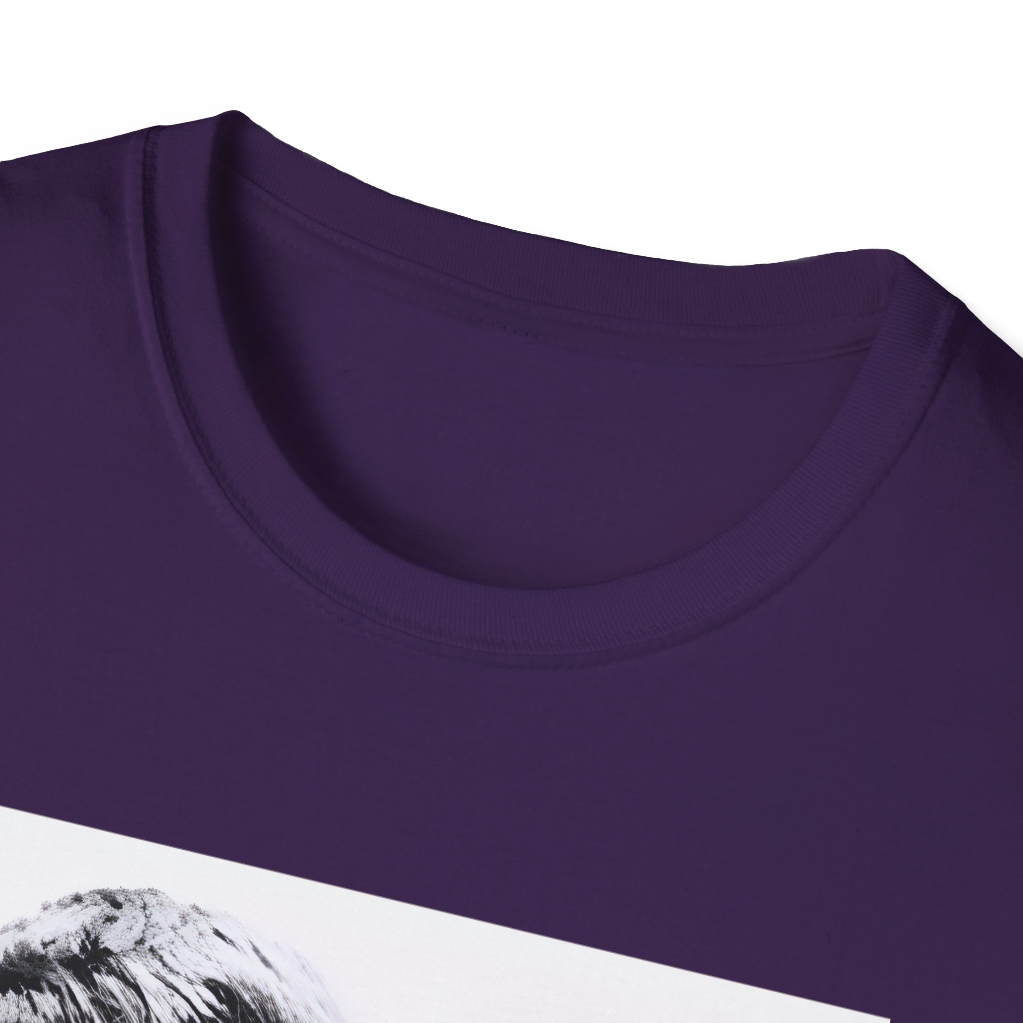 Oasis Liam & Noel Unisex Softstyle T-Shirt