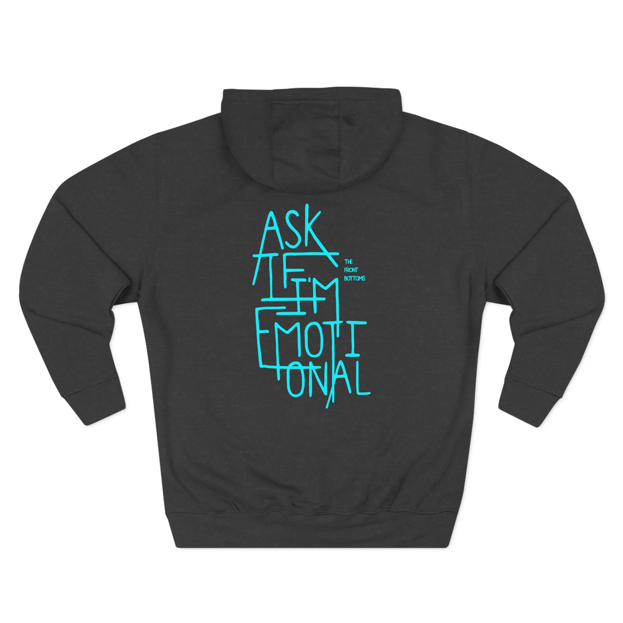 The Front Bottoms Emotional Three-Panel Fleece Hoodie
